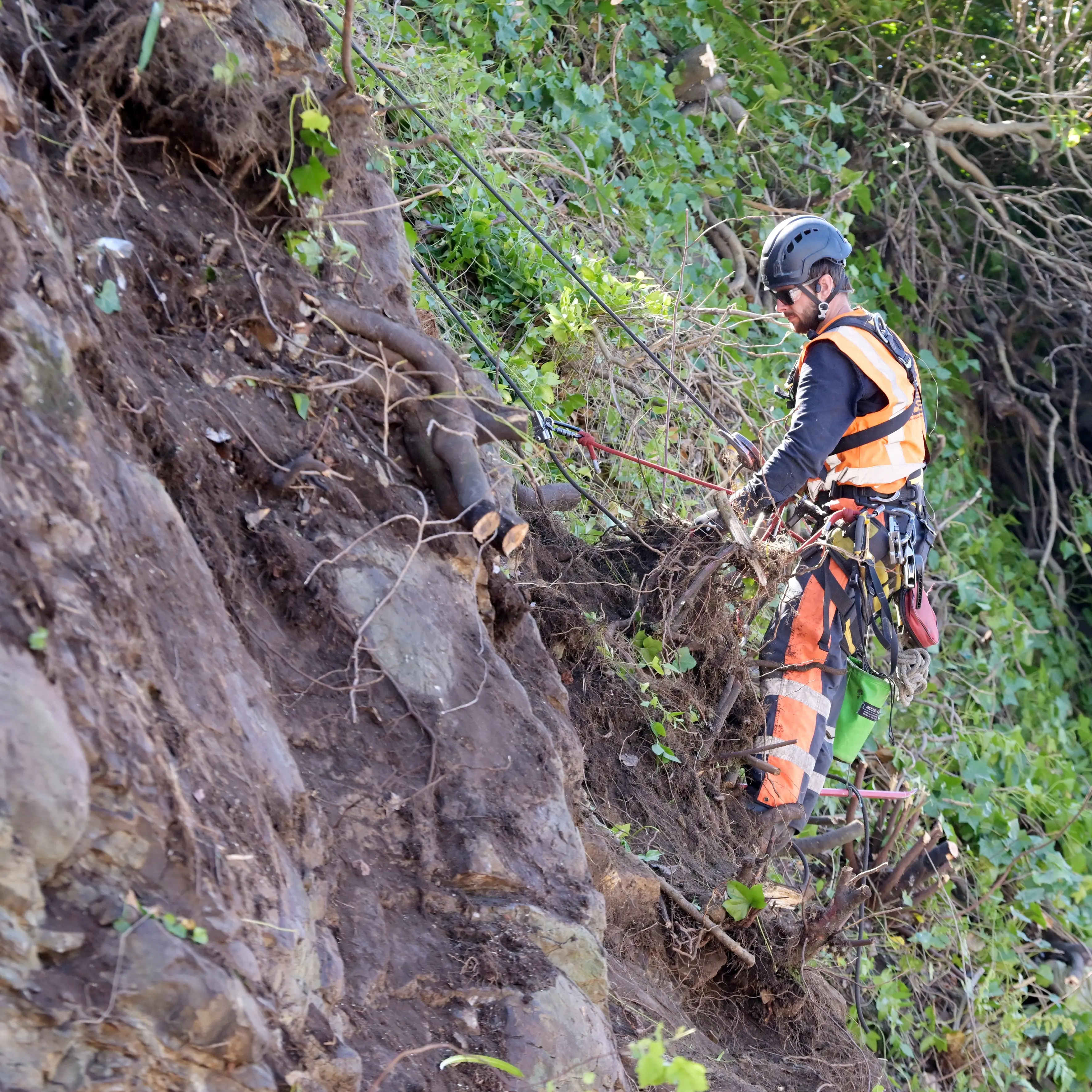 Maintenance begins on ‘striking’ cliff face