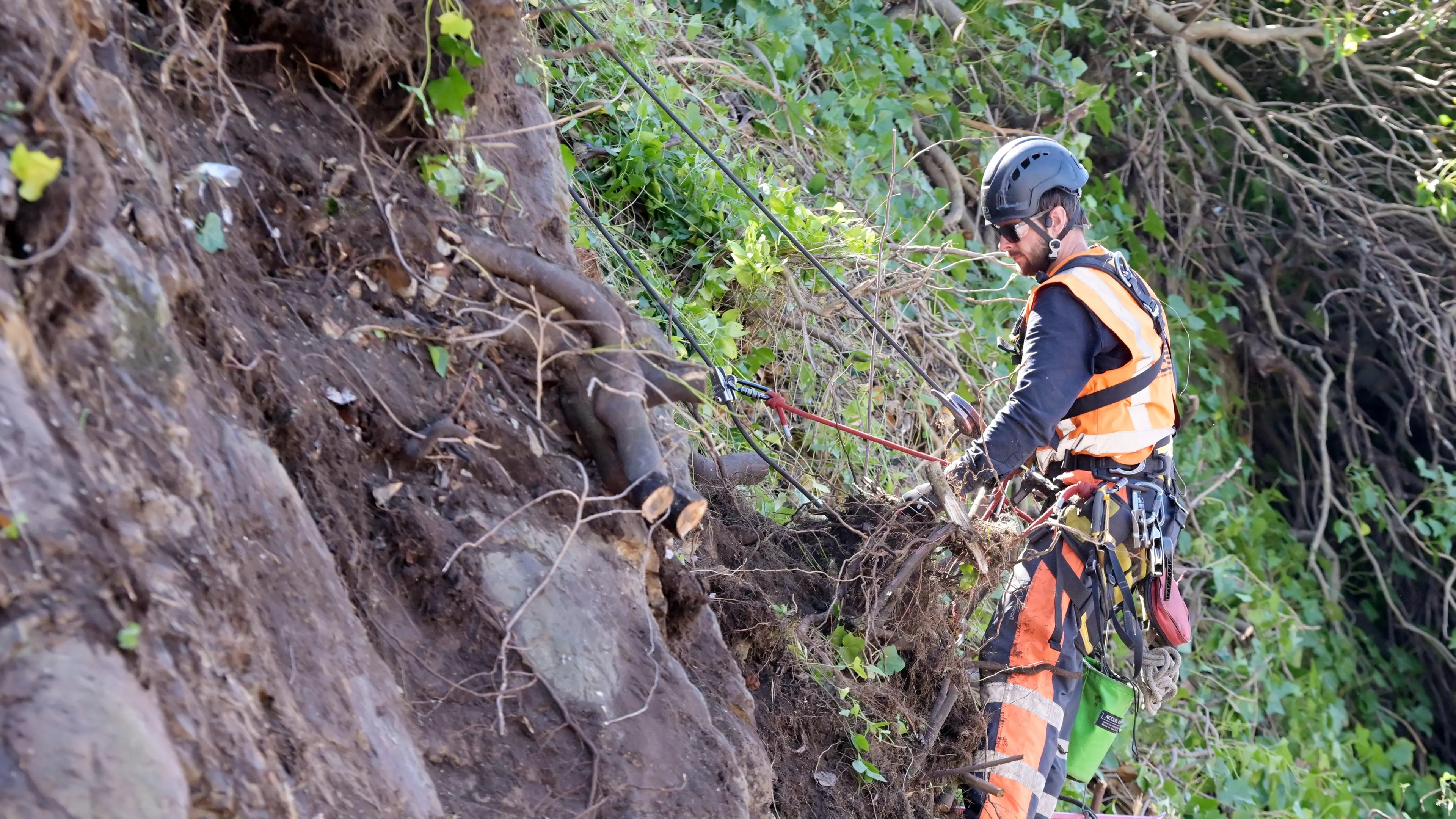 Maintenance begins on ‘striking’ cliff face