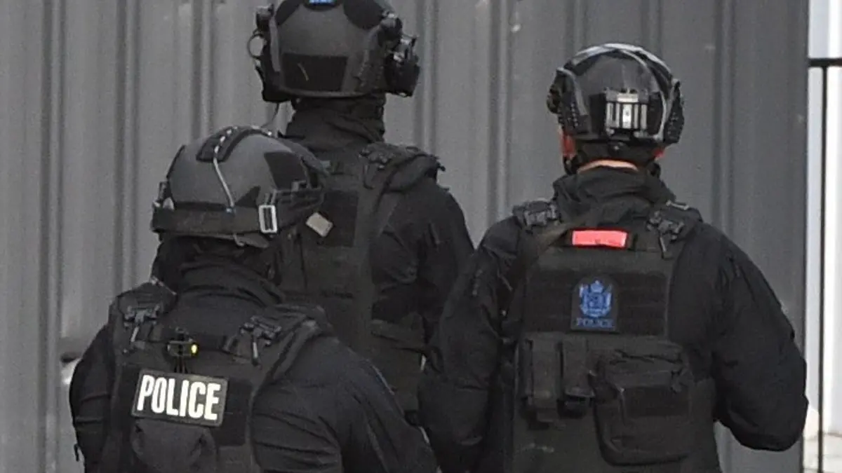 Woman arrested after fight outside Dunedin home leads to firearm cache seizure