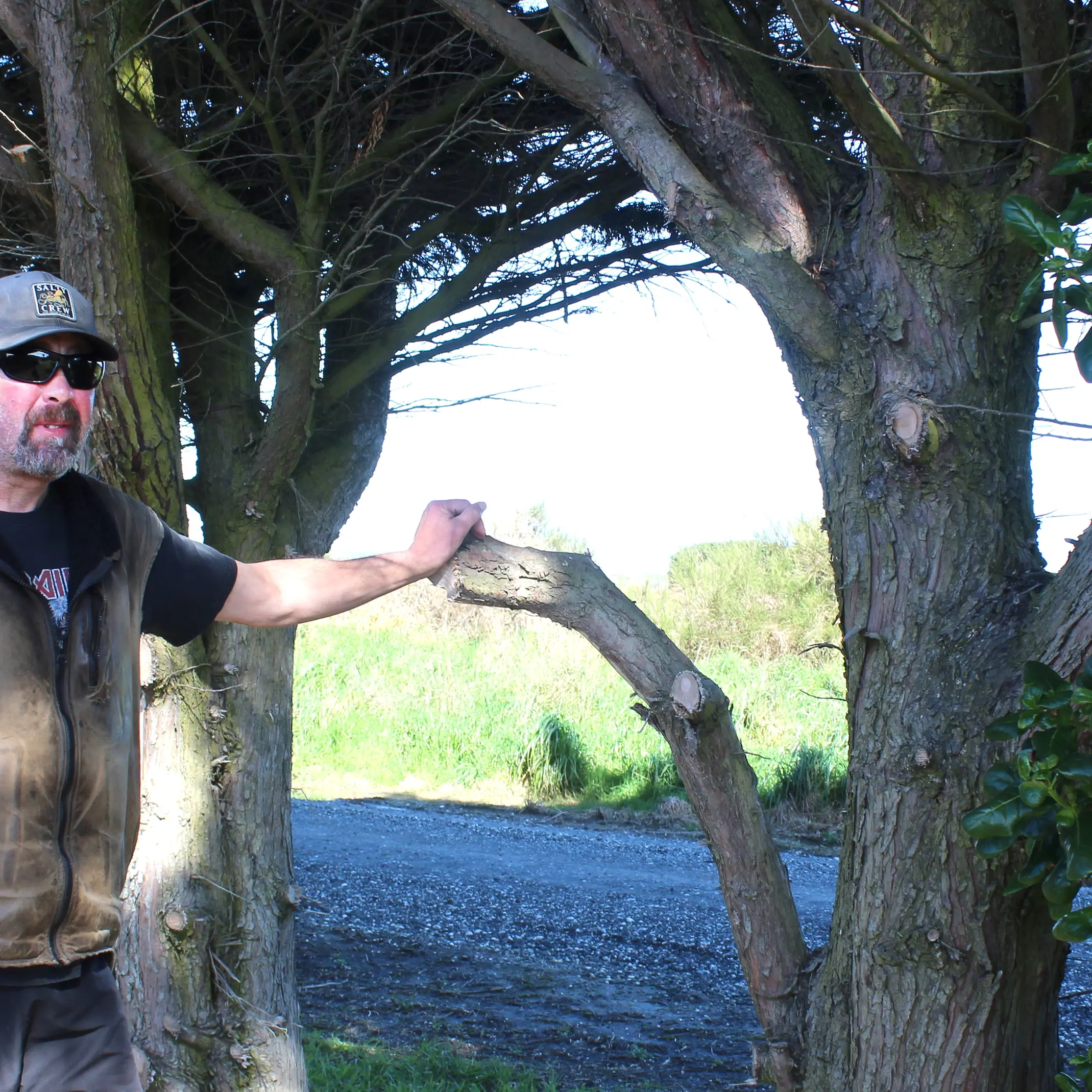 Resident ‘doesn’t feel safe’ as nearby trees hit power lines
