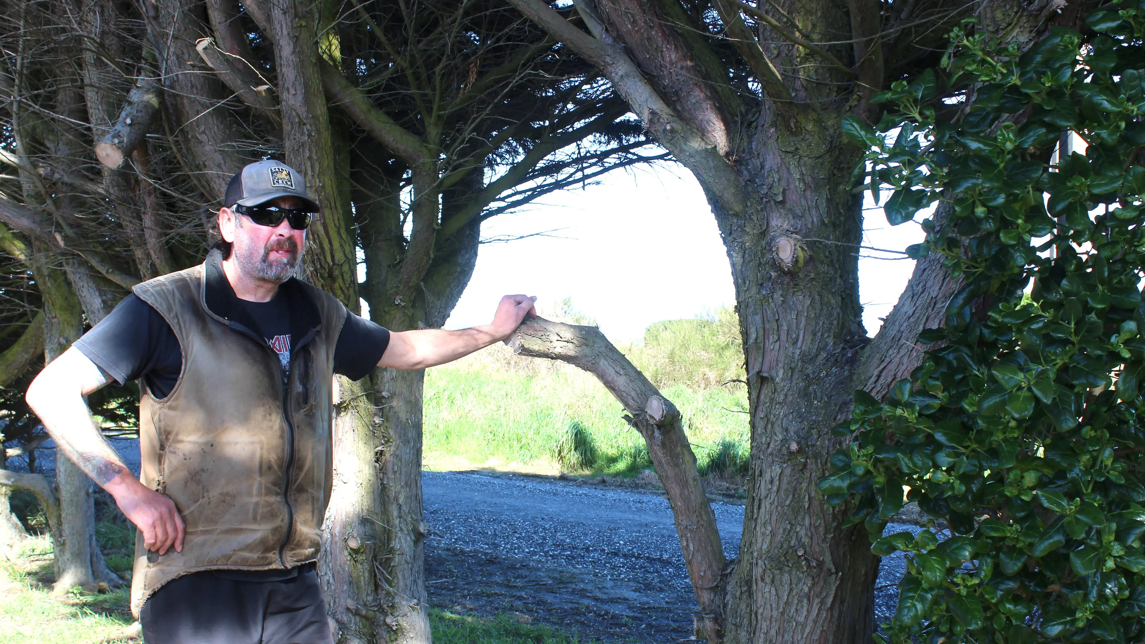 Resident ‘doesn’t feel safe’ as nearby trees hit power lines