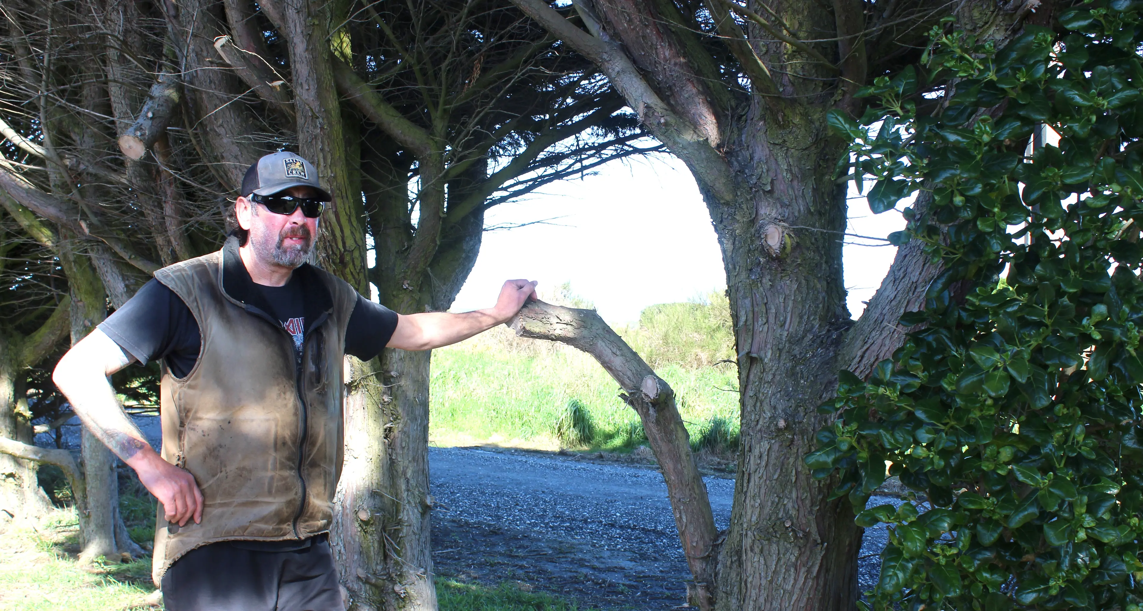 Resident ‘doesn’t feel safe’ as nearby trees hit power lines