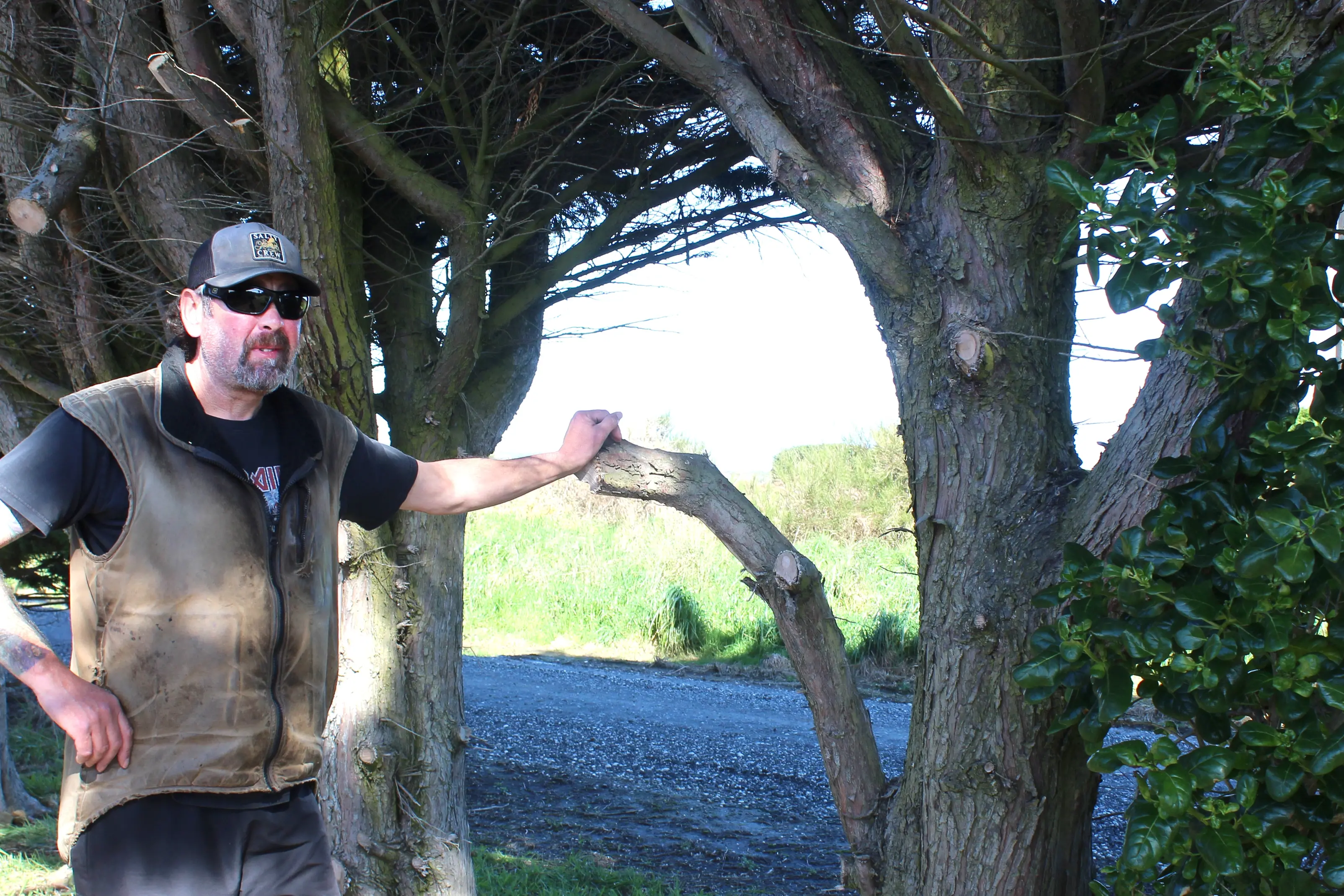 Resident ‘doesn’t feel safe’ as nearby trees hit power lines