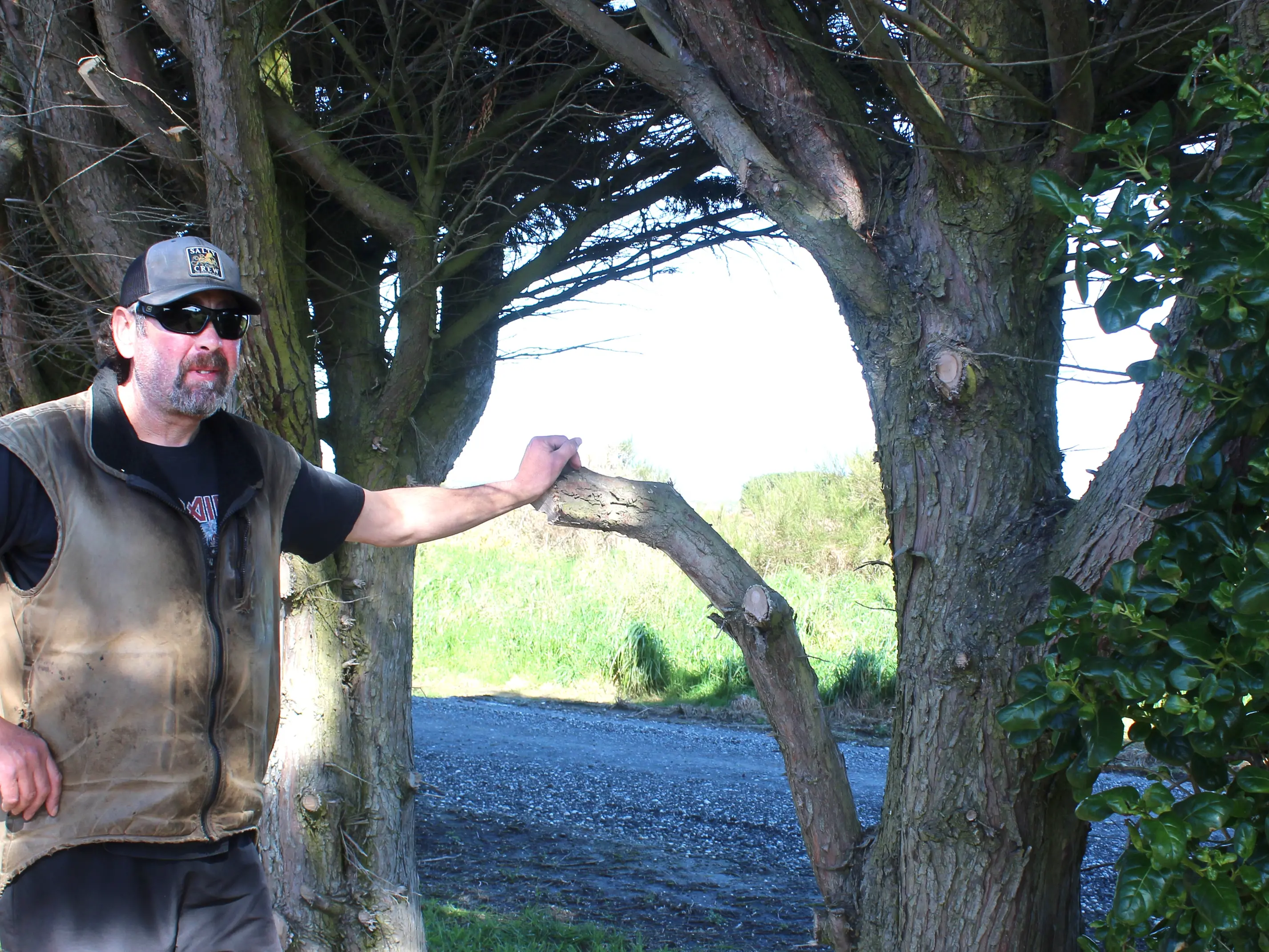 Resident ‘doesn’t feel safe’ as nearby trees hit power lines