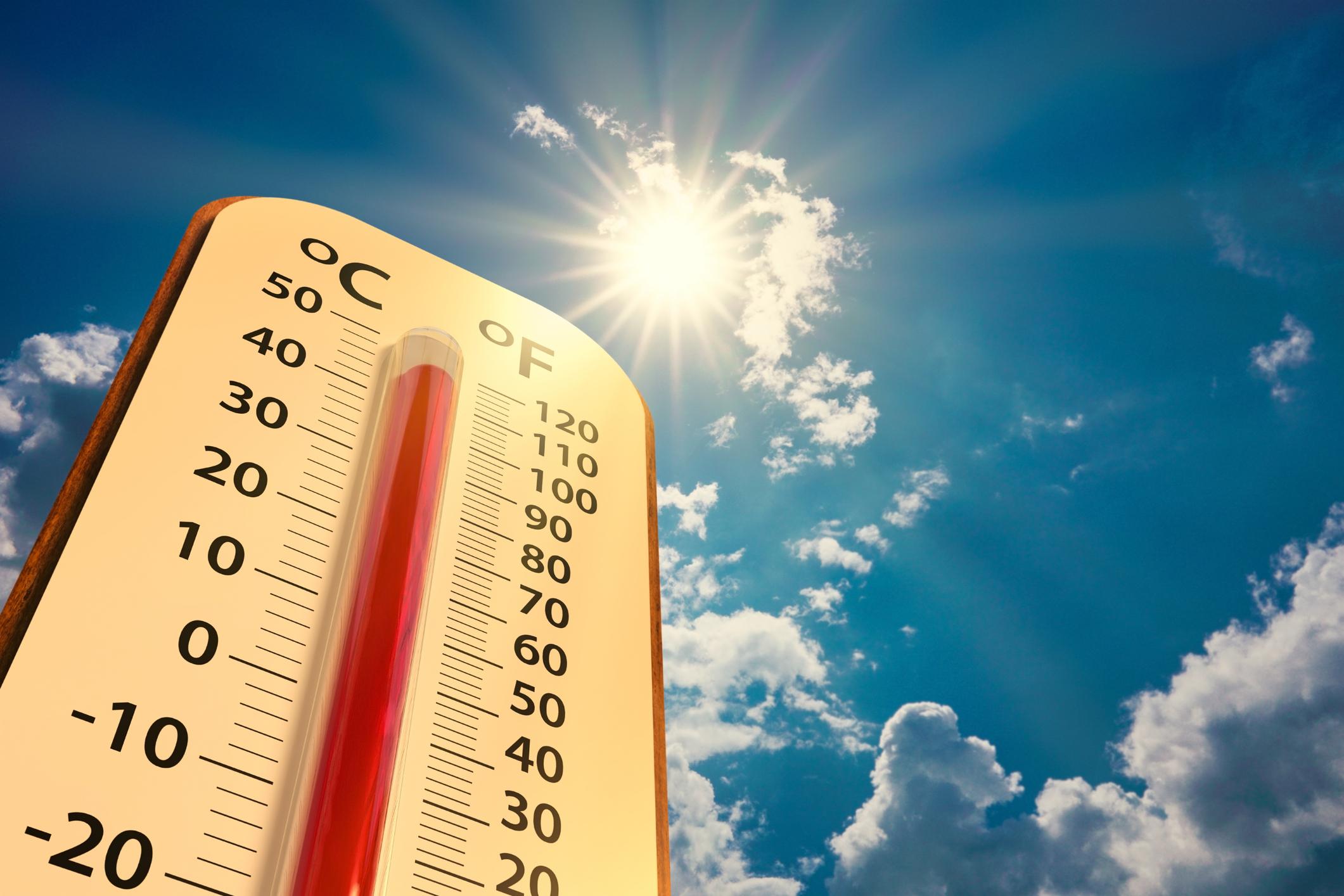 Temperatures ‘well above average’ in the South this week