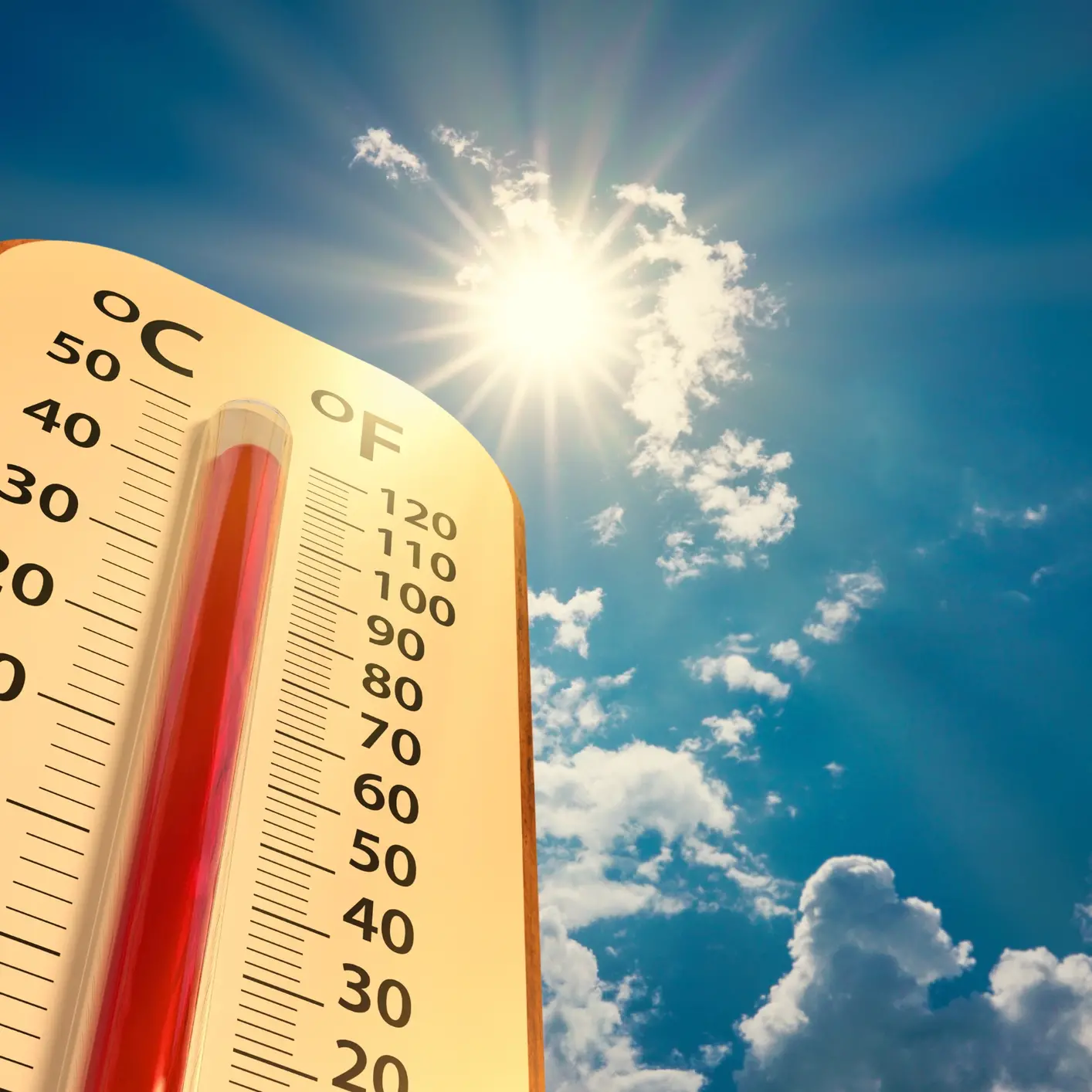Temperatures ‘well above average’ in the South this week