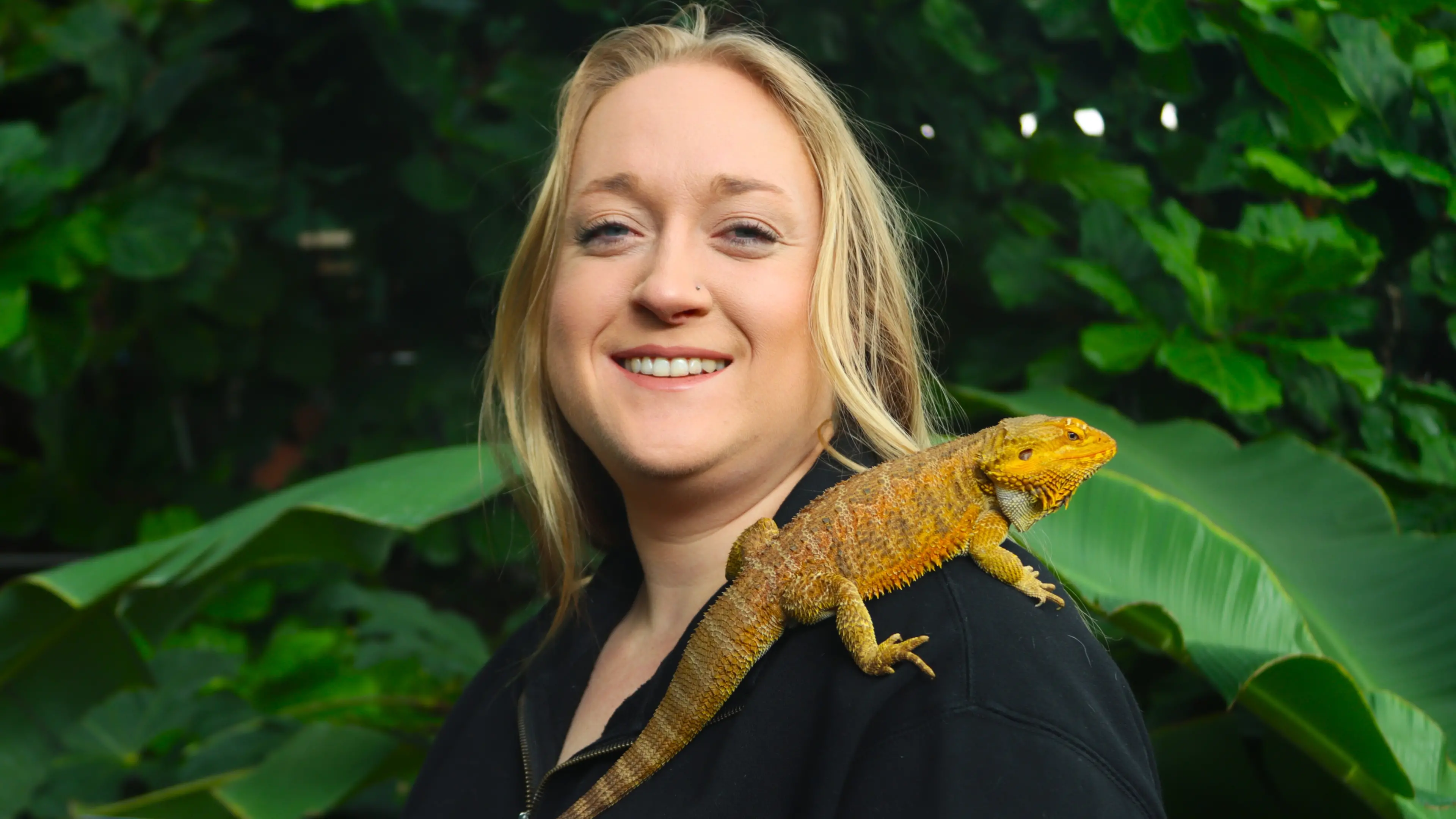 Dragon or dinosaur? Scaly Spyro challenging children to think about genetics