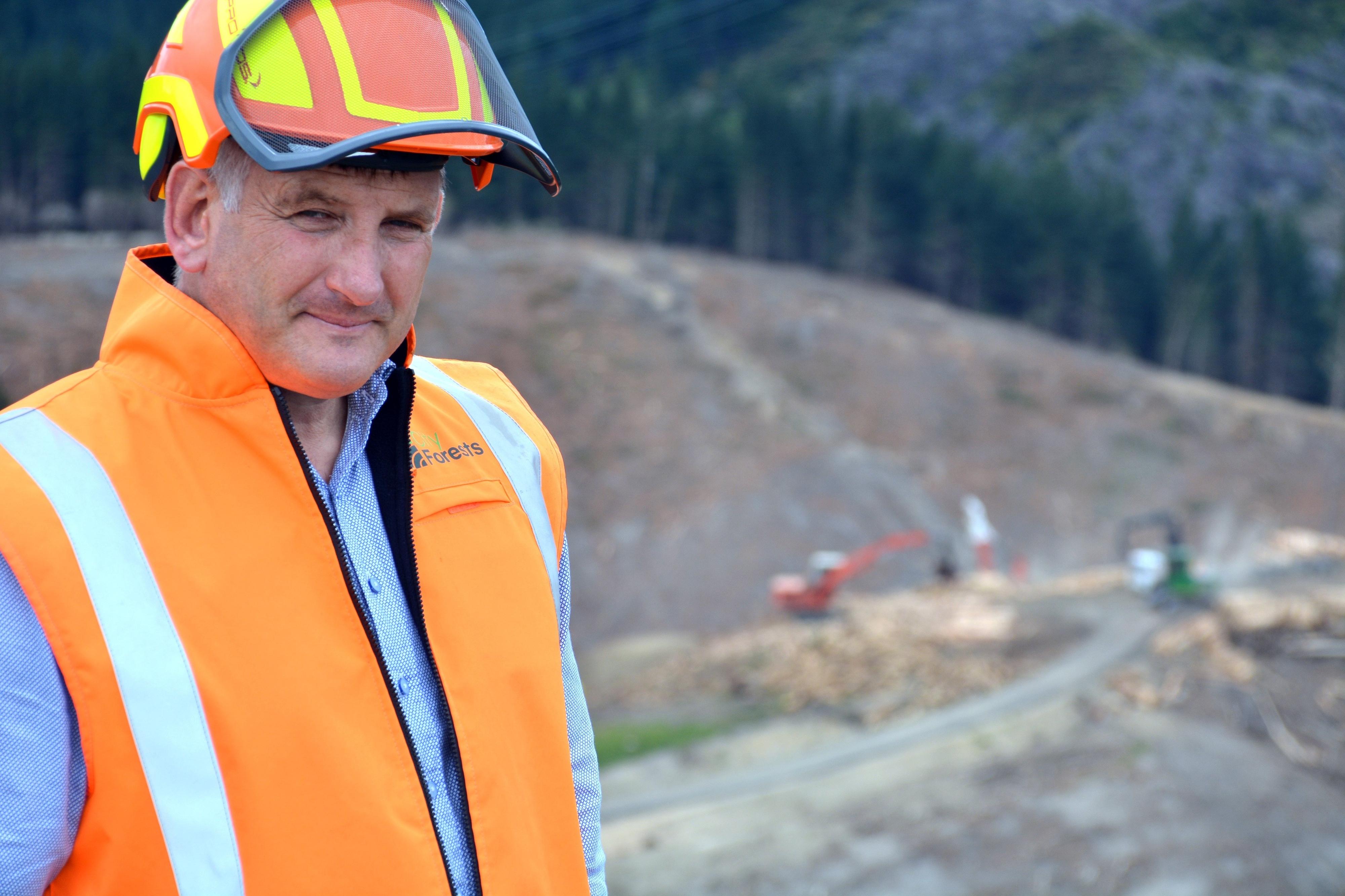 „Erhebliche finanzielle Auswirkungen“: Forstunternehmen in Dunedin ...