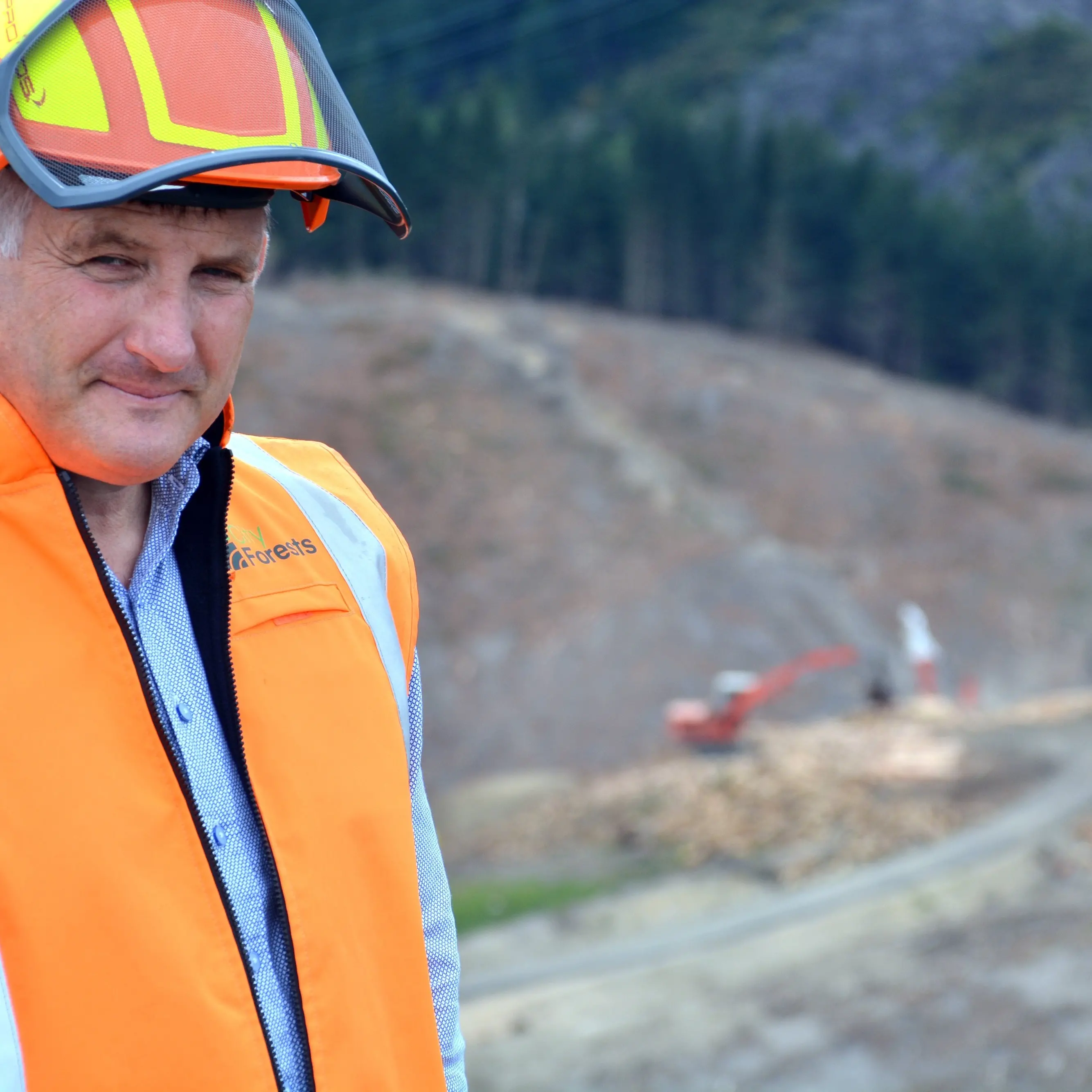 ‘Significant financial impact’: Dunedin forestry company dealt $10m blow by windstorm