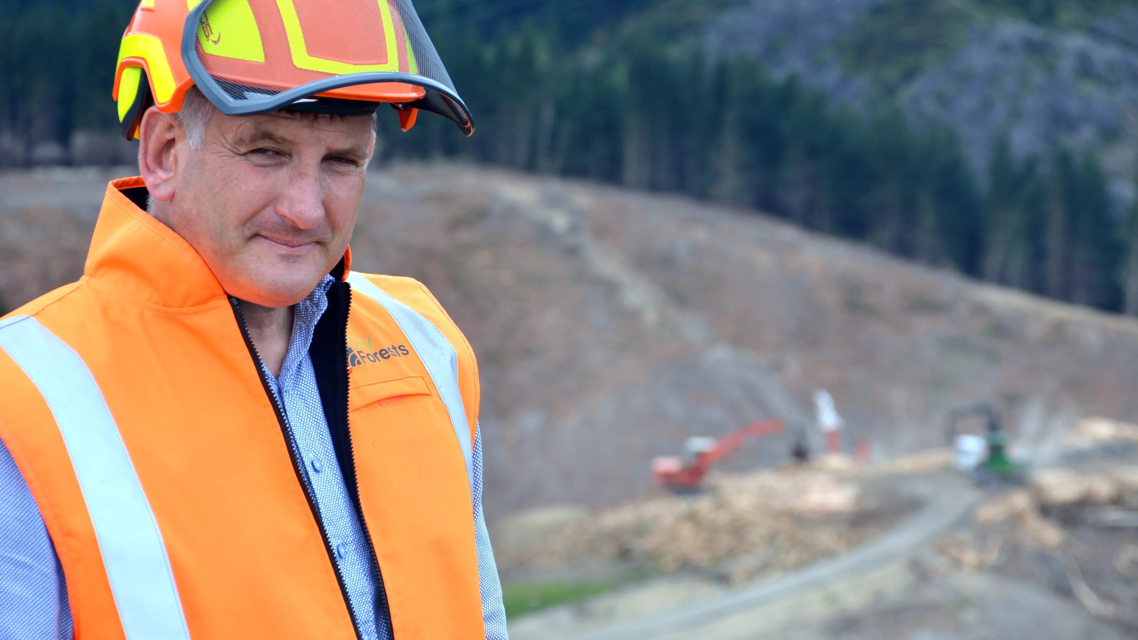 ‘Significant financial impact’: Dunedin forestry company dealt $10m blow by windstorm