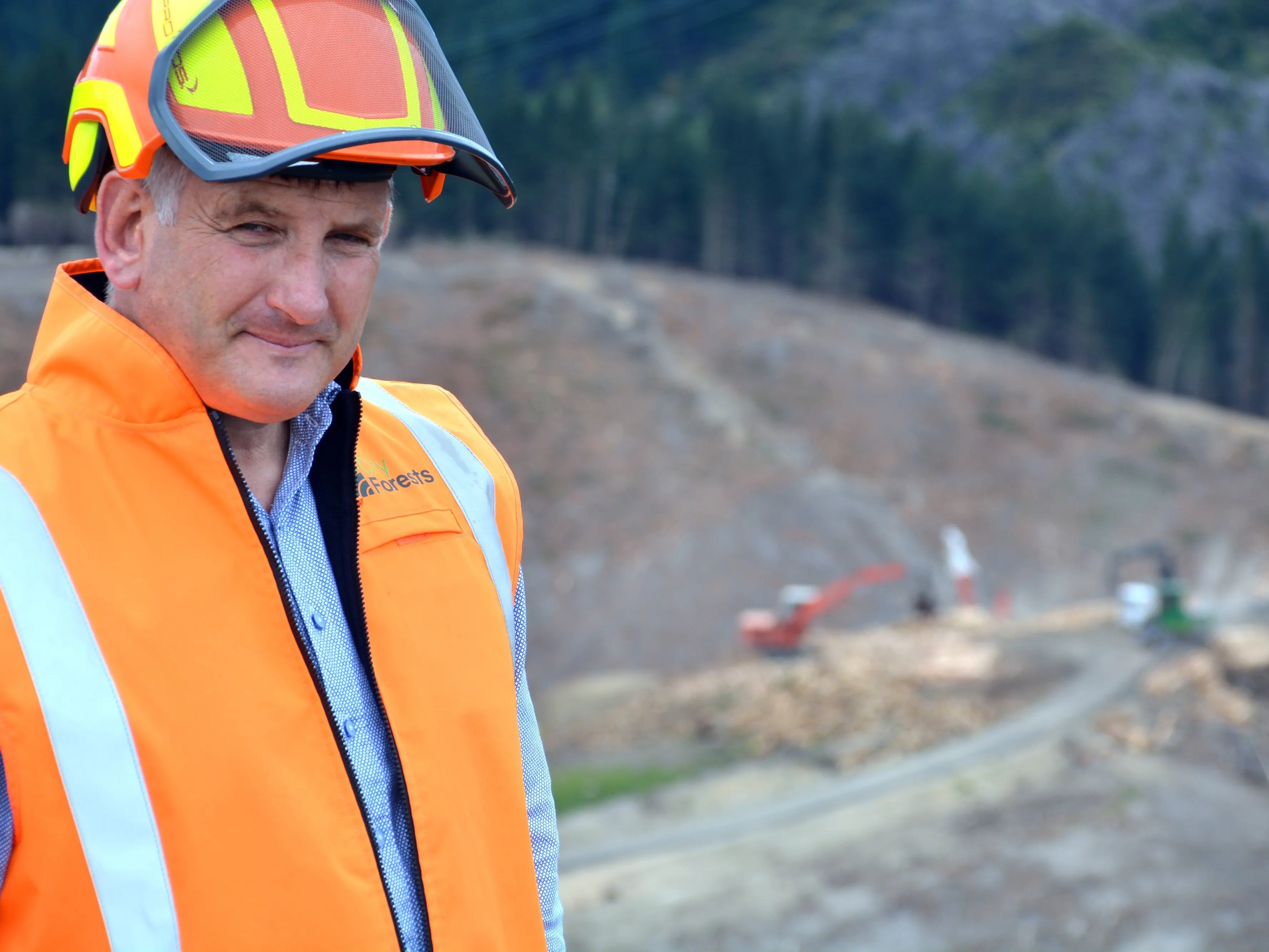 ‘Significant financial impact’: Dunedin forestry company dealt $10m blow by windstorm