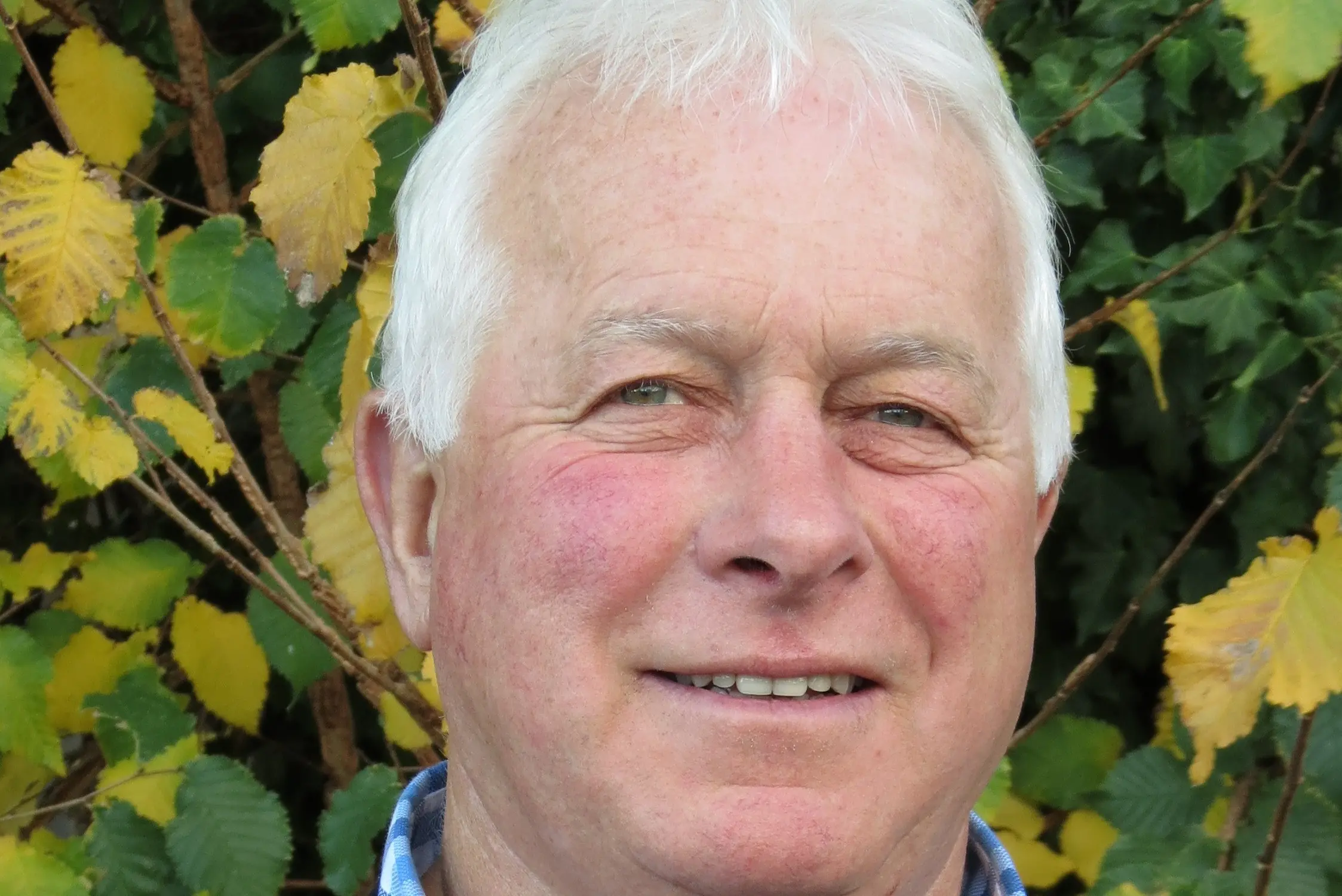 ‘There’s nothing left’: Rating changes for Central Otago will hit growers hard, fruit sector says