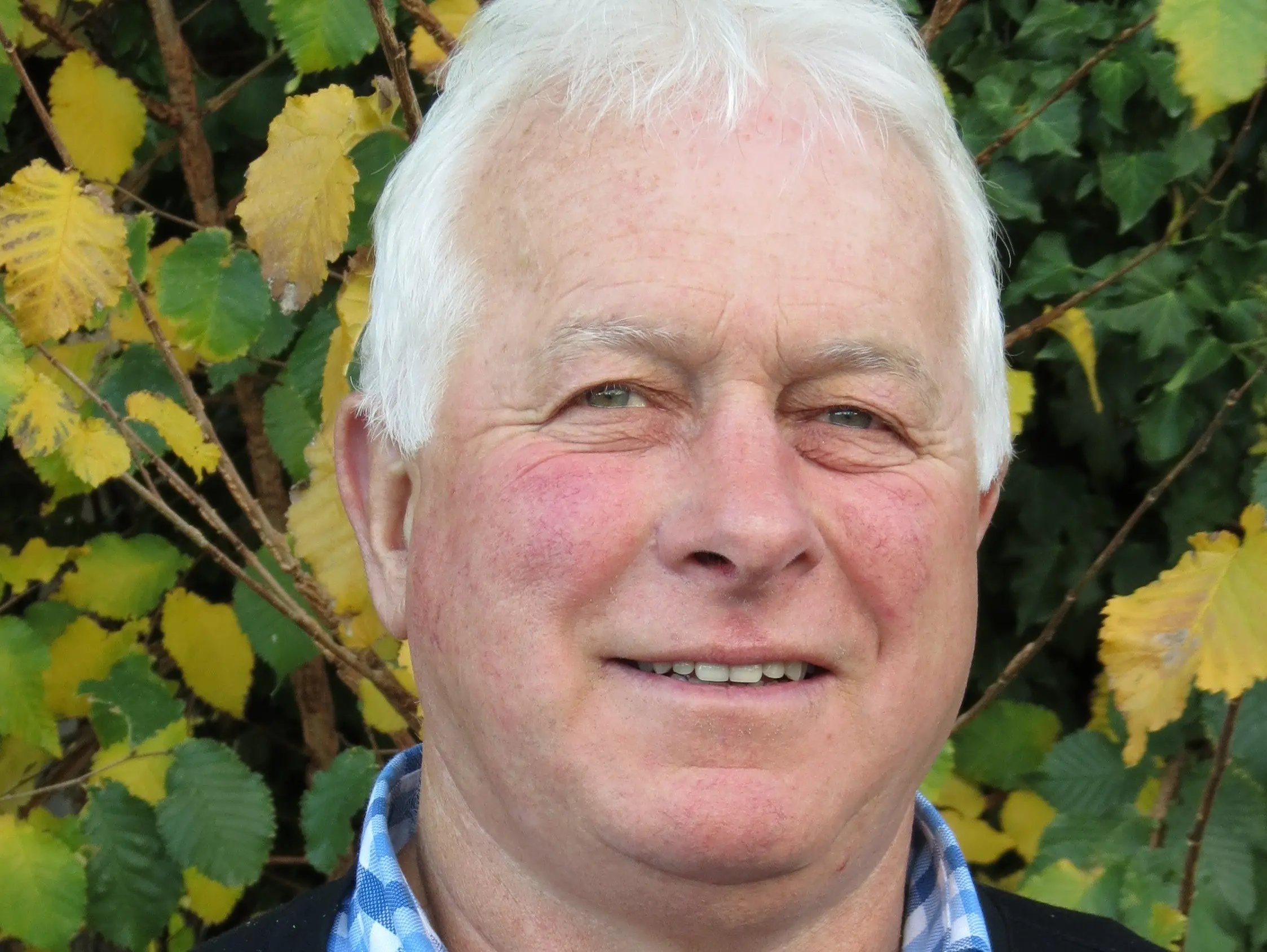 ‘There’s nothing left’: Rating changes for Central Otago will hit growers hard, fruit sector says