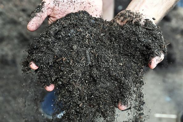 Canterbury Records 36 Legionnaires’ Cases; Gardeners Urged to Take Care