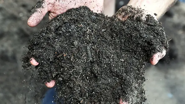 Gardeners warned about Legionnaires’ disease after 36 cases in Canterbury