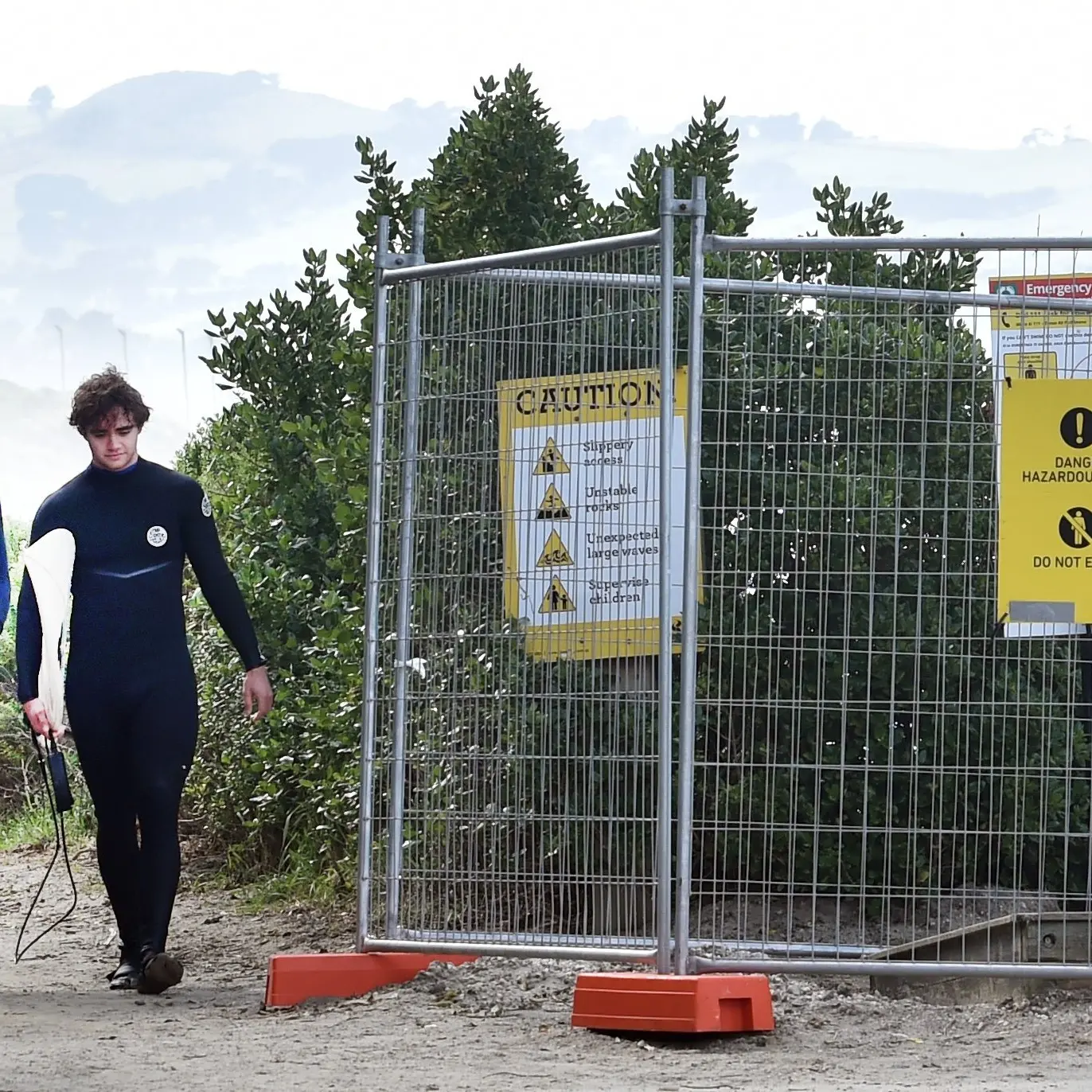‘Mum’ sea lion statue up sticks from St Clair for spruce up