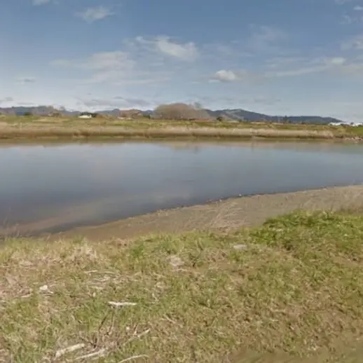 Woman's body found after pair jumped into river to evade police