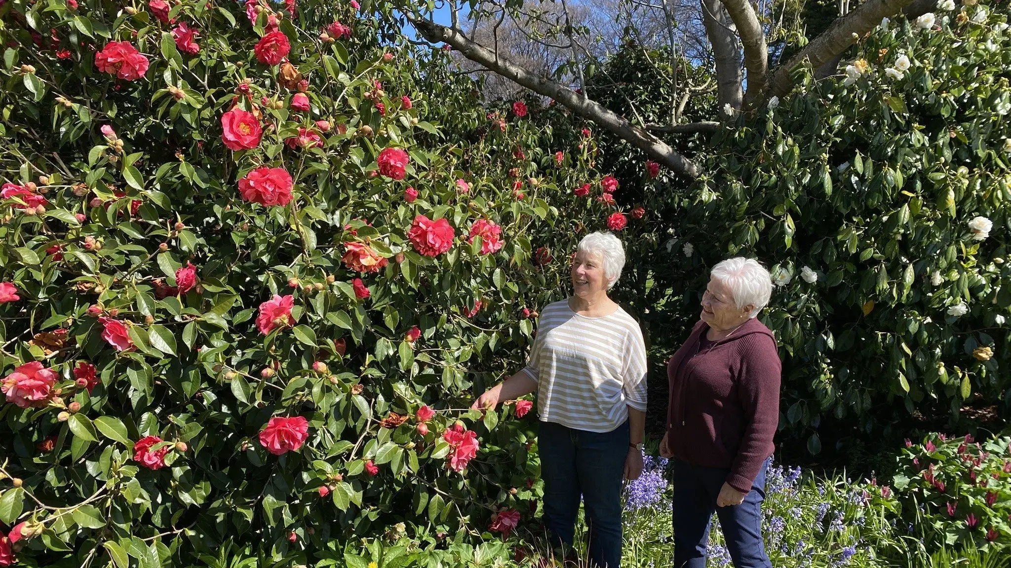 Popular plant sale blooming lovely for gardeners