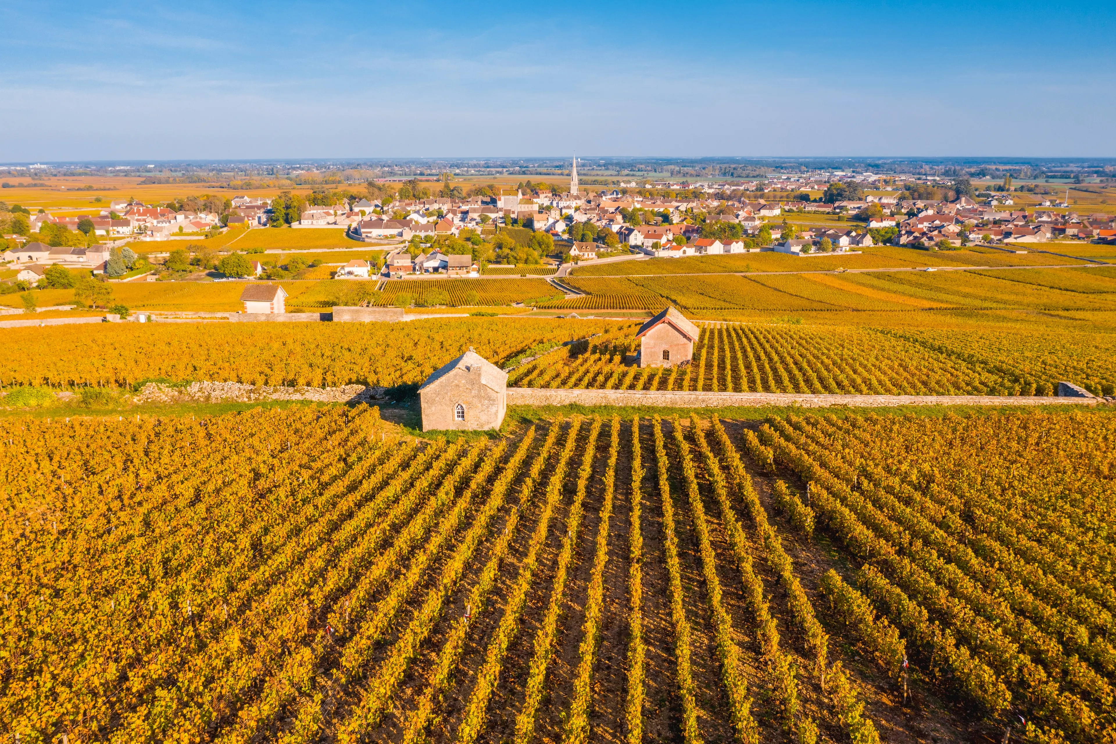 Mark Henderson visited wineries in Beaune, Burgundy in France. Photo: Getty