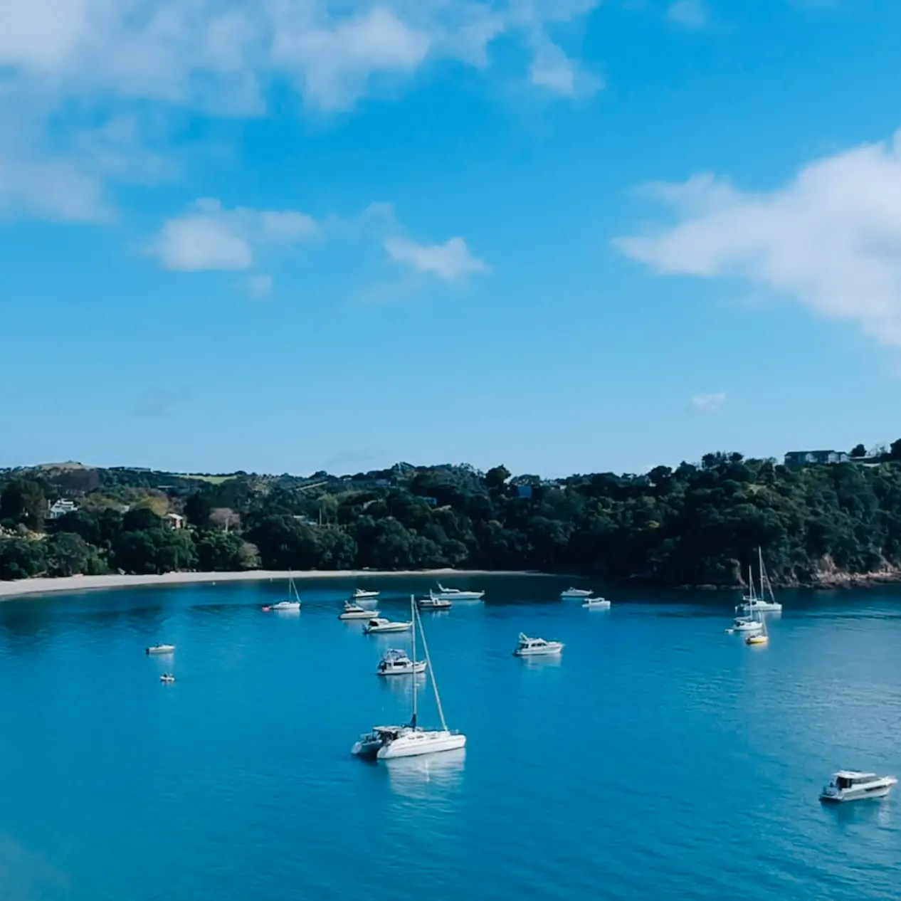 Woman found dead in Waiheke Island home an hour after welfare check
