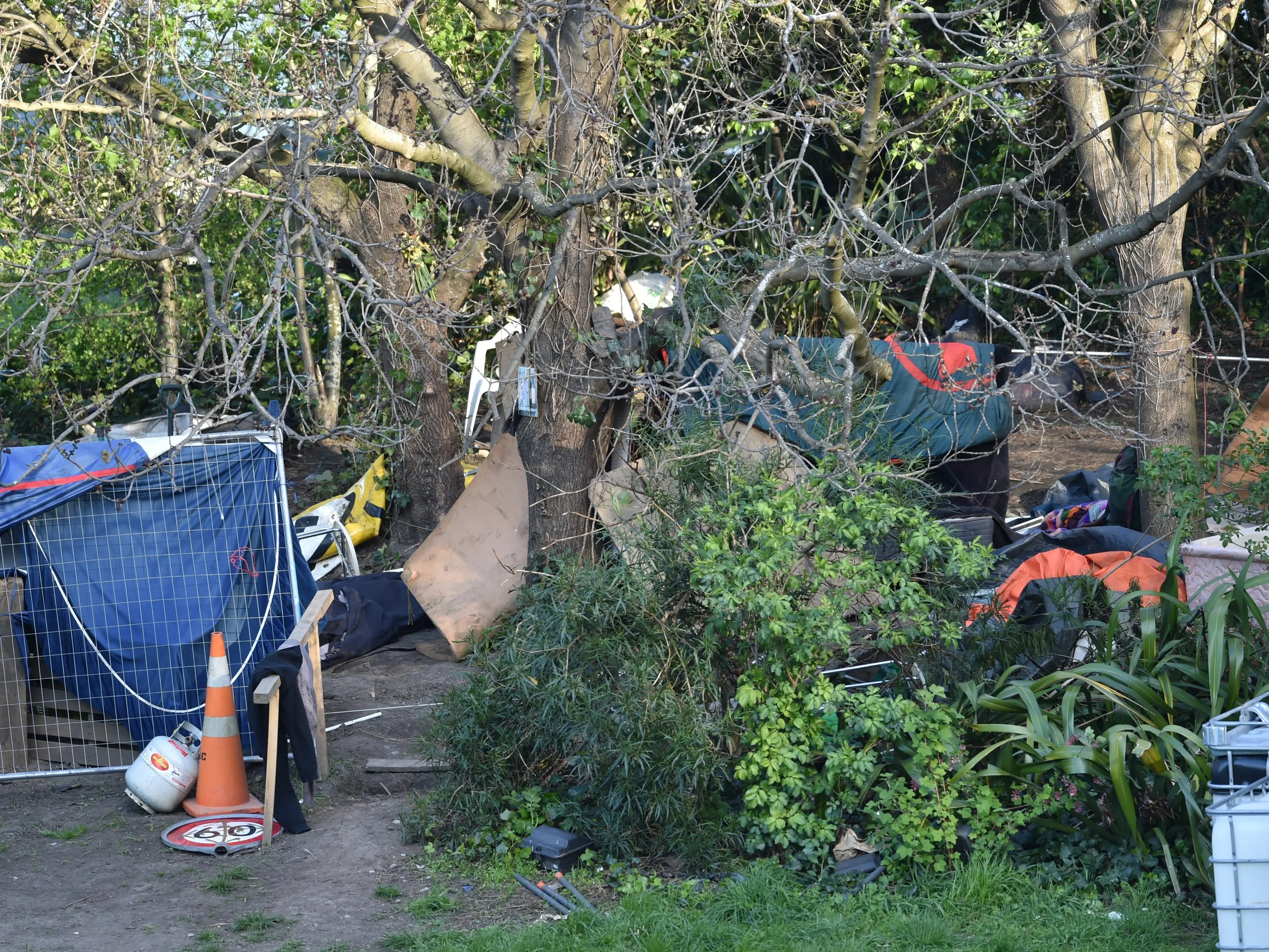 Teen sexually assaulted in tent at Dunedin homeless camp