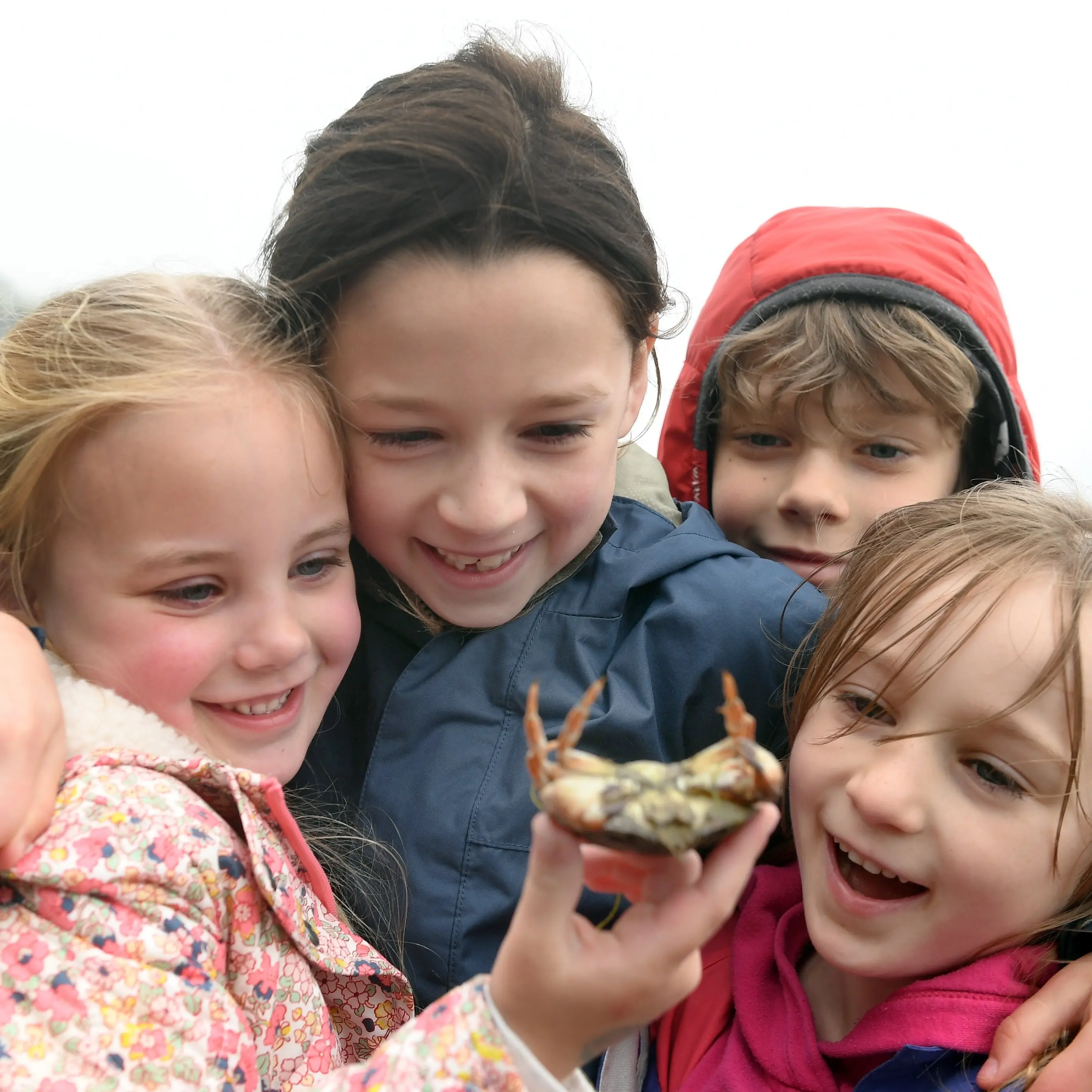 The mudlarkers of Otago Harbour