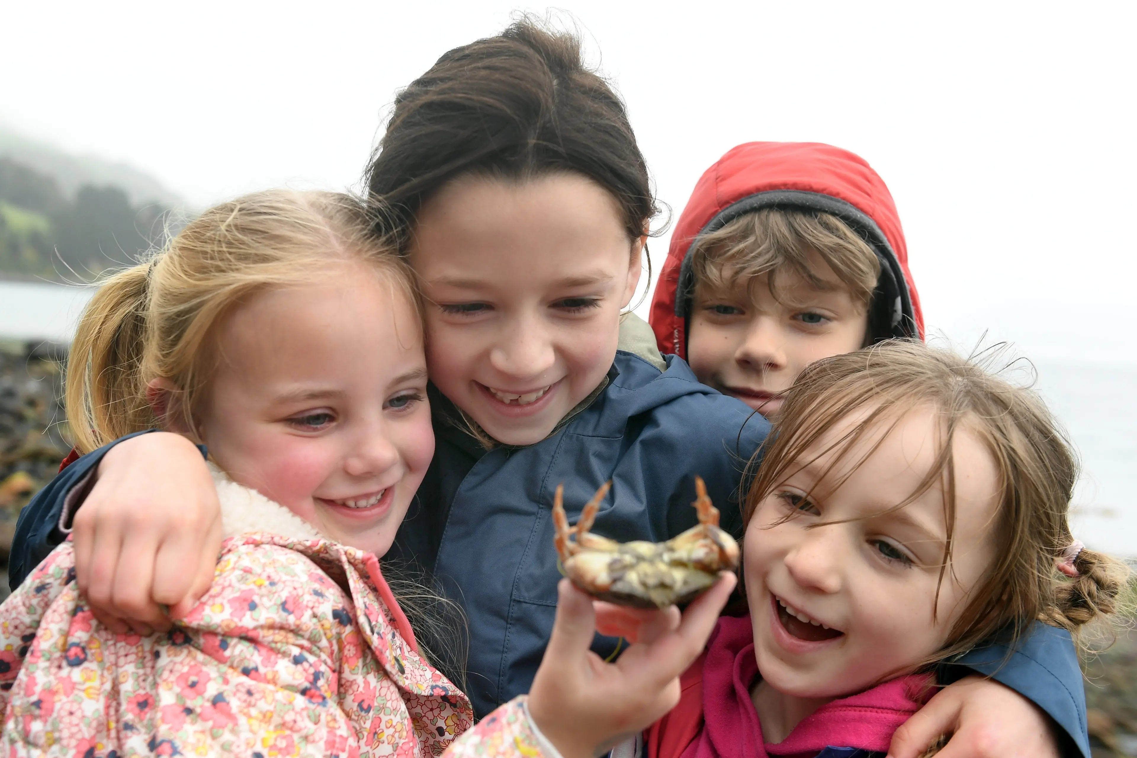 Cousins (from left) Ellie Naylor, 5, Pippa Lowrey, 8,  Kit Gourley, 7, and Ella\\u00A0Lowrey, 5, show off a crab they found while mudlarking in the Otago Harbour on Thursday. Photo: Stephen Jaquiery