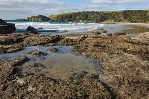 The changes would be in place until revoked by the Oceans and Fisheries Minister with continual monitoring of rockpools included in the ban. Photo: Getty Images