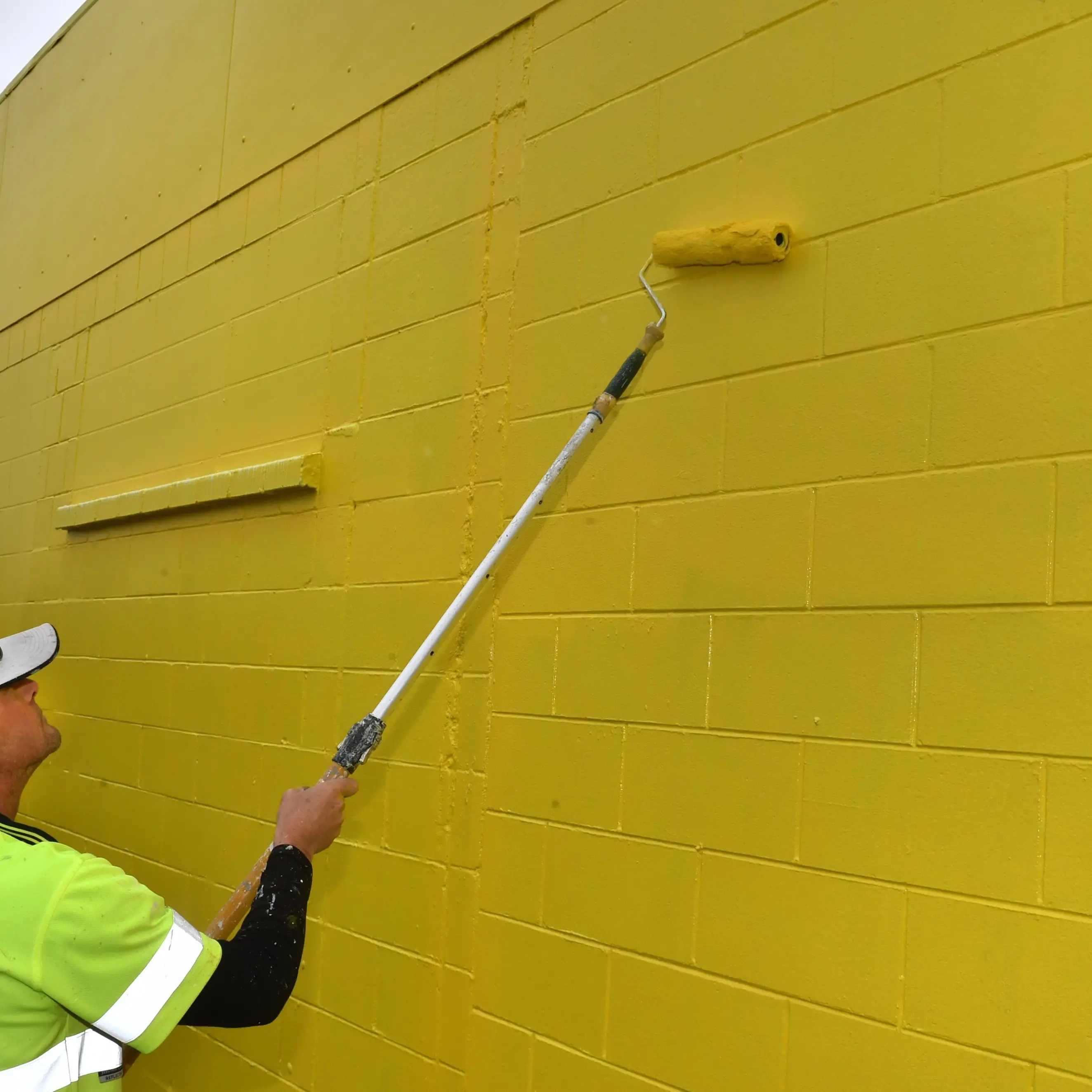 Chemist Warehouse to open second Dunedin store