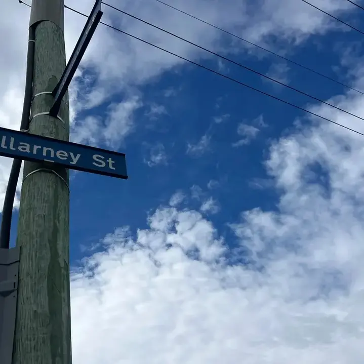 Woman who died after being hit by vehicle in Alexandra named