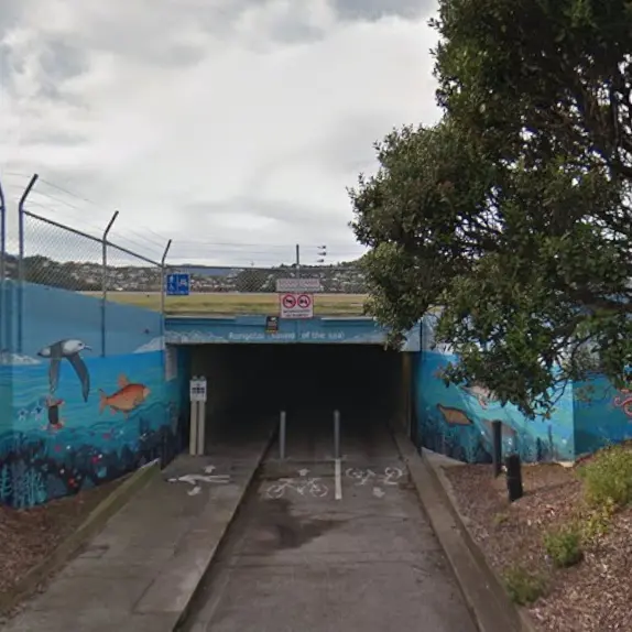 Pool of blood found in tunnel near Wellington airport