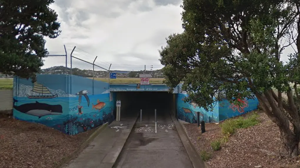 Pool of blood found in tunnel near Wellington airport