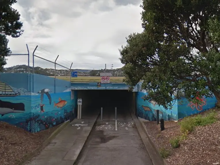 Pool of blood found in tunnel near Wellington airport