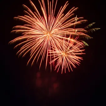 NZ First renews push to ban backyard fireworks