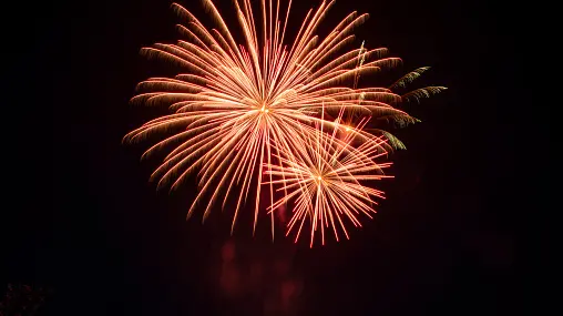 NZ First renews push to ban backyard fireworks