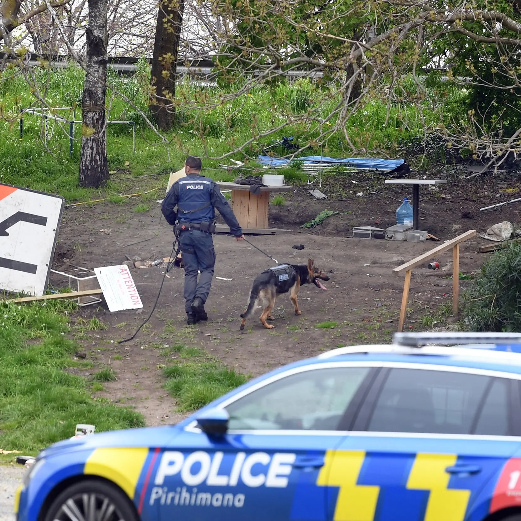 Dunedin motorcyclist’s escape from the law thwarted by curb and CCTV