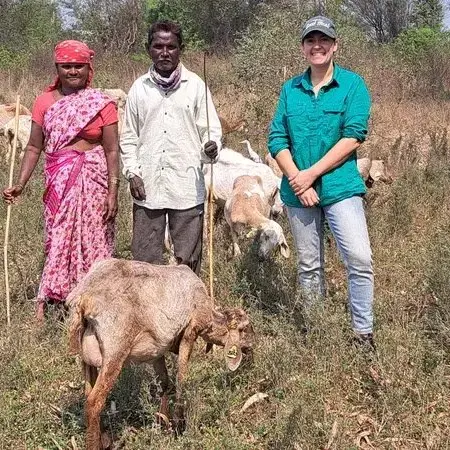 Global recognition for Dunedin-developed livestock system