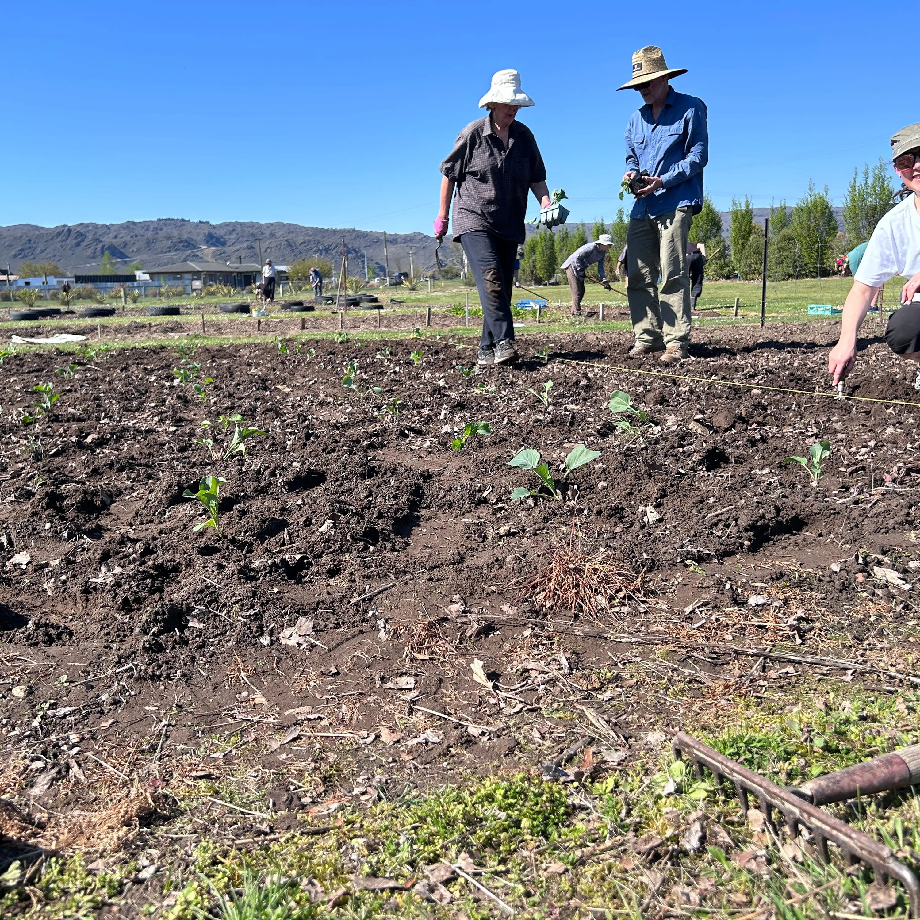 Community shows up to grow for those in need