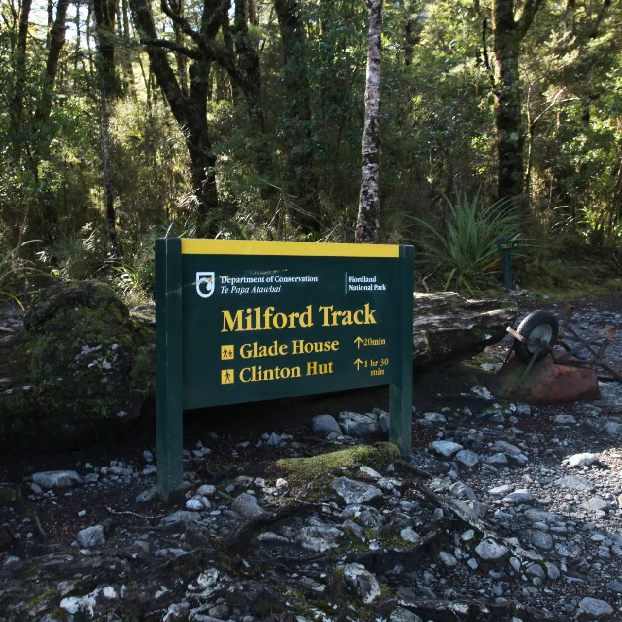 ODT quiz: October 14