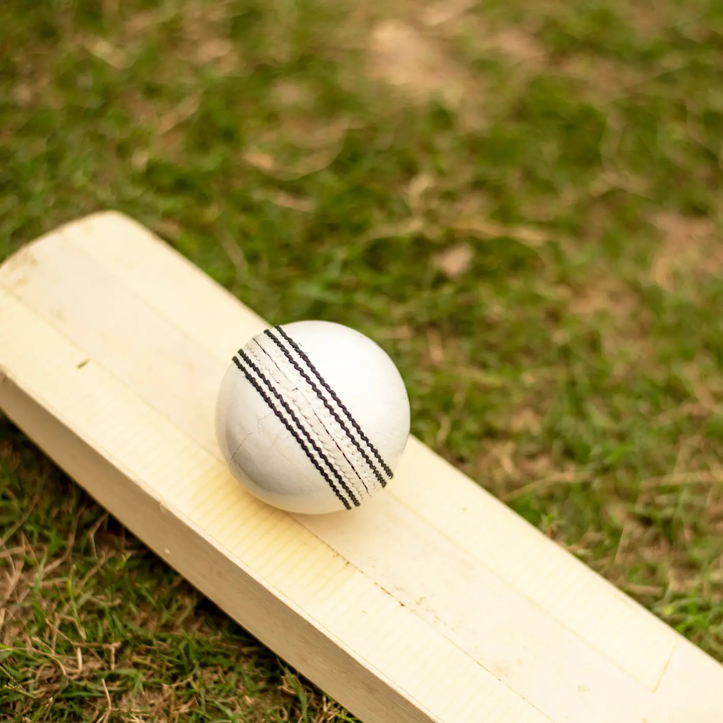 Unbeaten Wilson, Grobler tons highlight opening round of Borton Cup