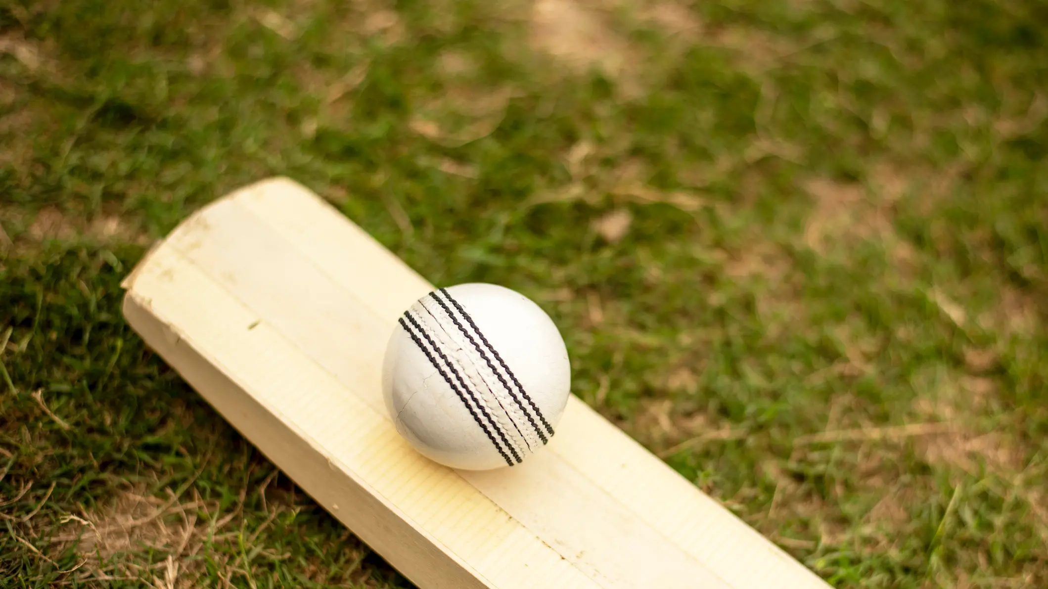 Unbeaten Wilson, Grobler tons highlight opening round of Borton Cup