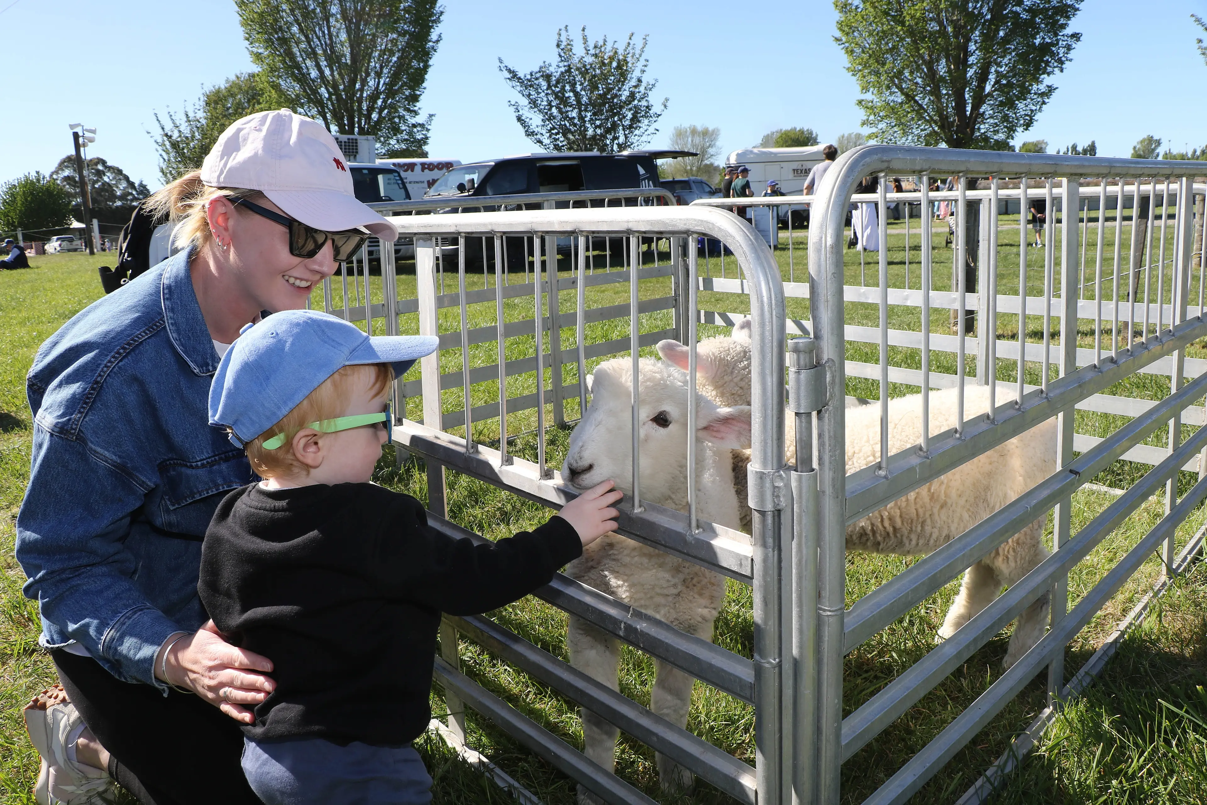 Farmyard fun . . .Jace Ellis discovers lambs with the help of mum Jade, at last year\\'s Northern A&P Show in Rangiora. Photo: John Cosgrove