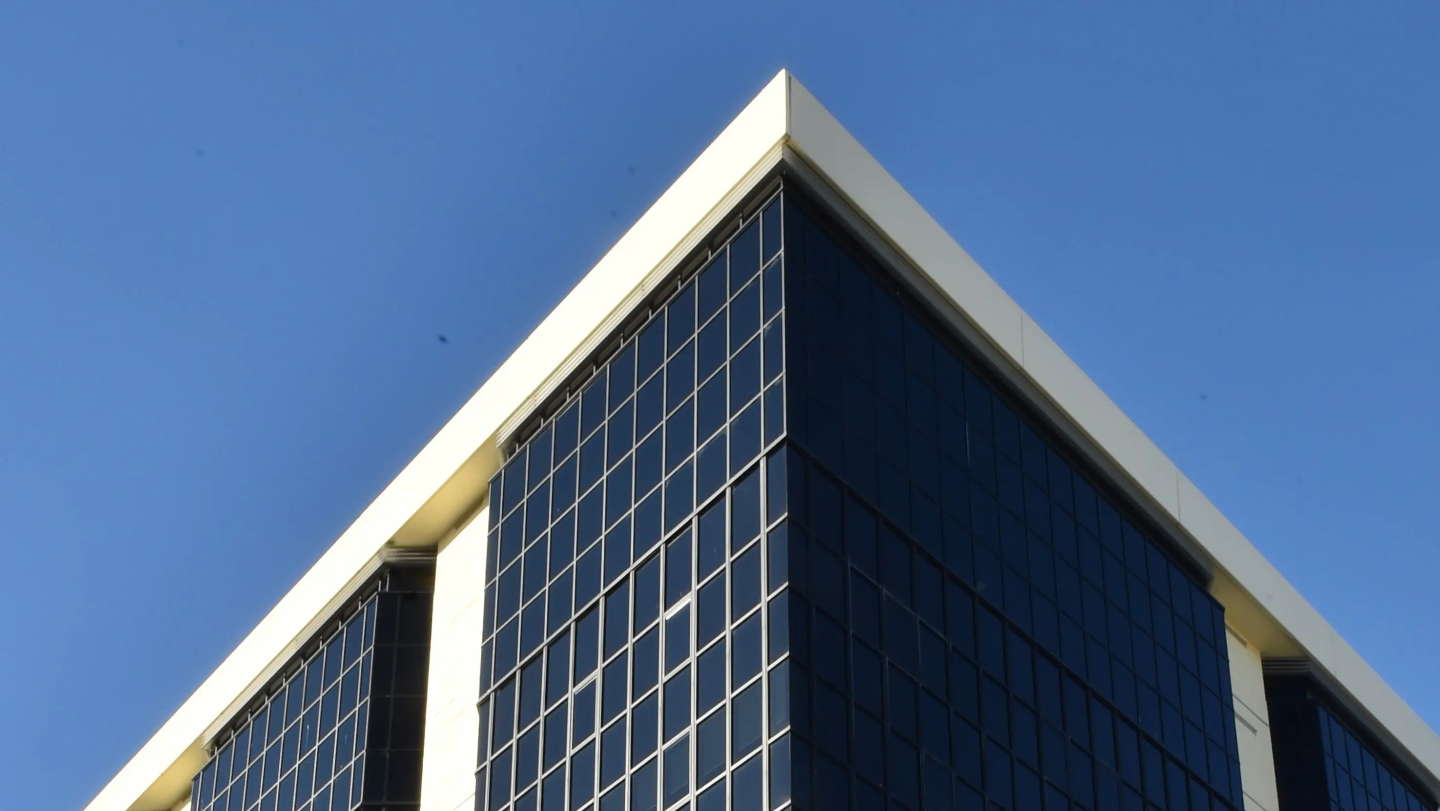 ‘There’s just not a lot of demand’: Prime Dunedin office vacancies triple over past year
