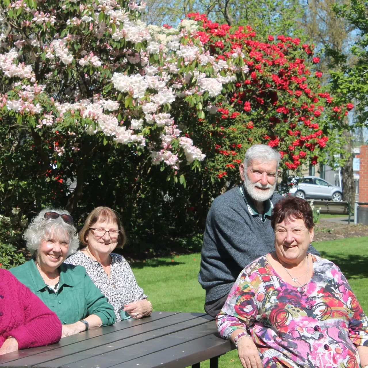 Rhododendron’s to spring for festival