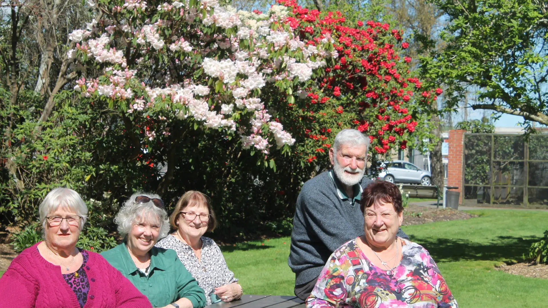Rhododendron’s to spring for festival