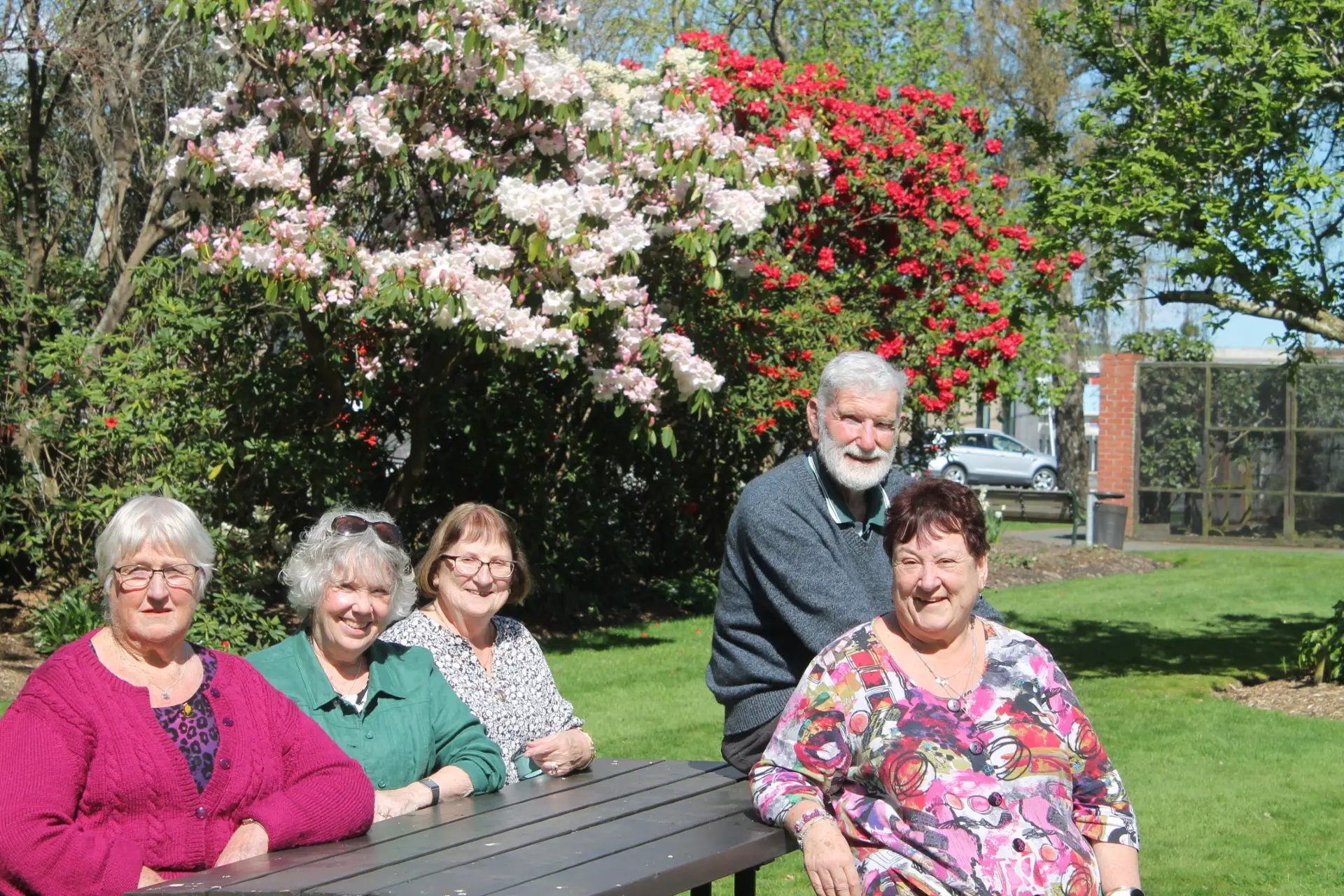 The Southland Rhododendron Group is ready for a colourful festival this Sunday, as they celebrate the beautiful Rhododendron. Pictured: Christine Thomson, sitting on table Patron and Life Member Denis Hughes, Life member Beverly Brookland, Festival Convenor Wendy Goodwin, President Shona Forbes. Photo: Gerrit Doppenberg.