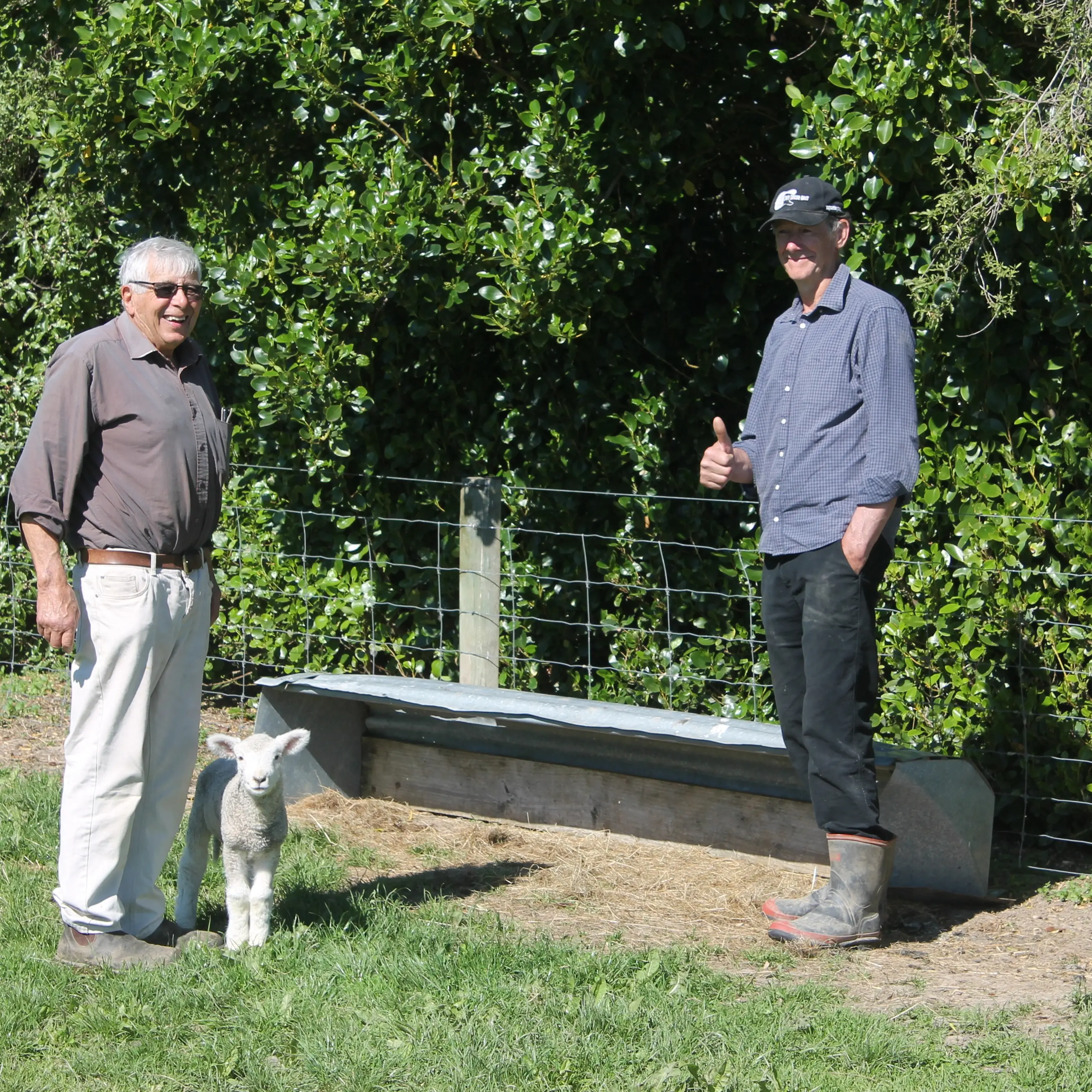 Neighbourly spirit at heart of mystery