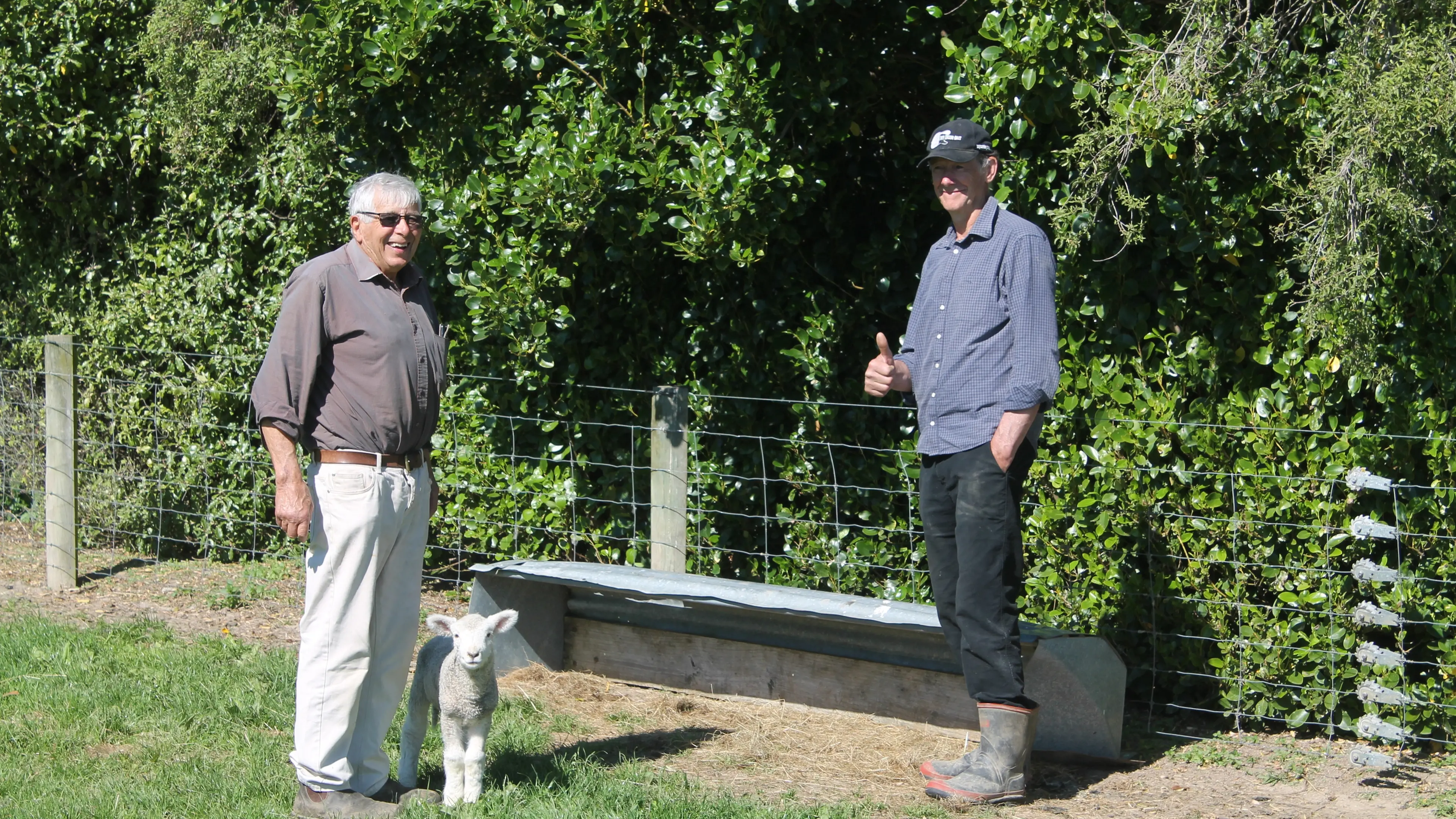 Neighbourly spirit at heart of mystery