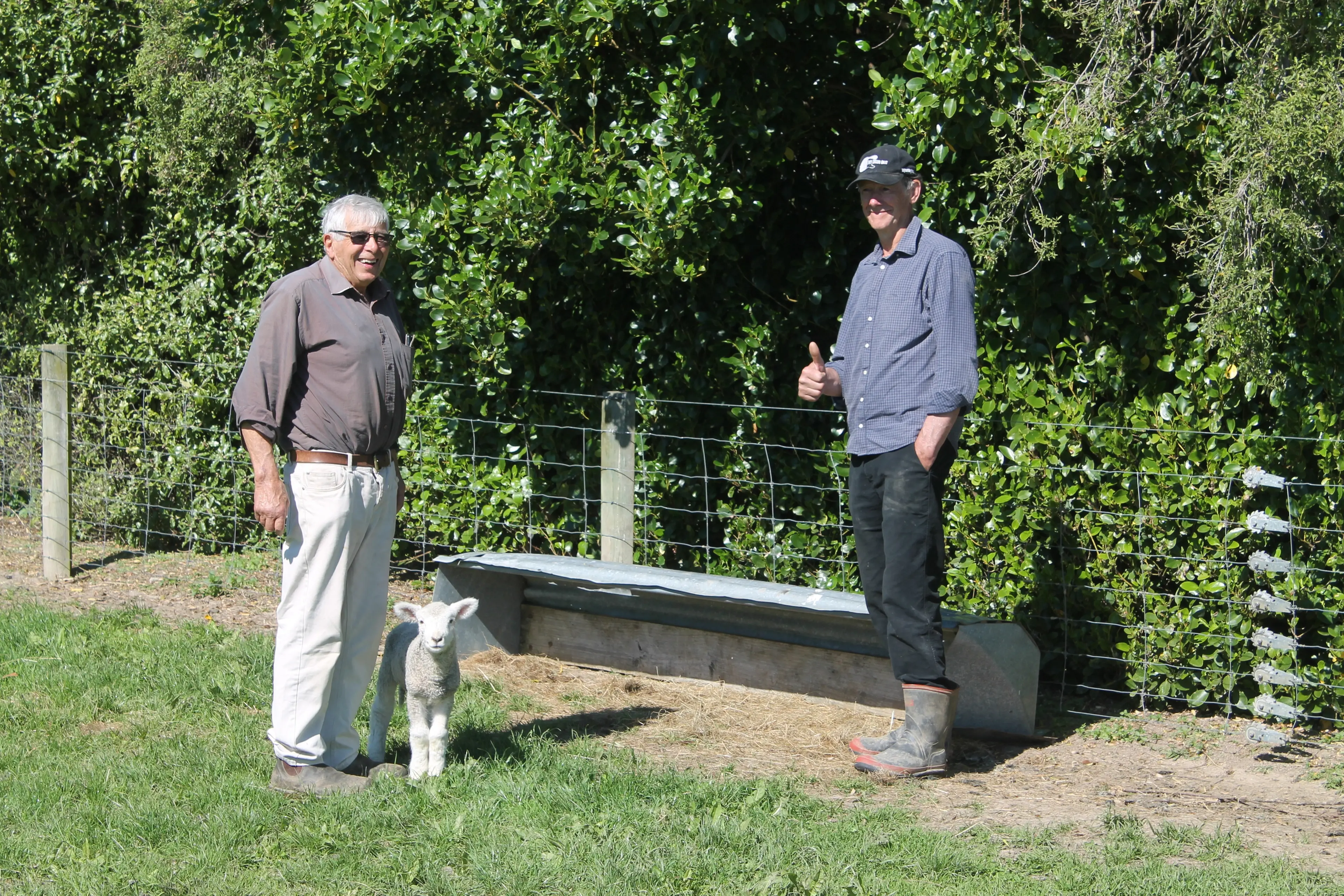 Farmer John Barnett had a bit of a surprise, coming back to his lifestyle block to see a lamb shelter secretly put on his property by his neighbour Ron Mitchell to keep the little lambs from the more serious conditions of Southland weather. Photo: Gerrit Doppenberg