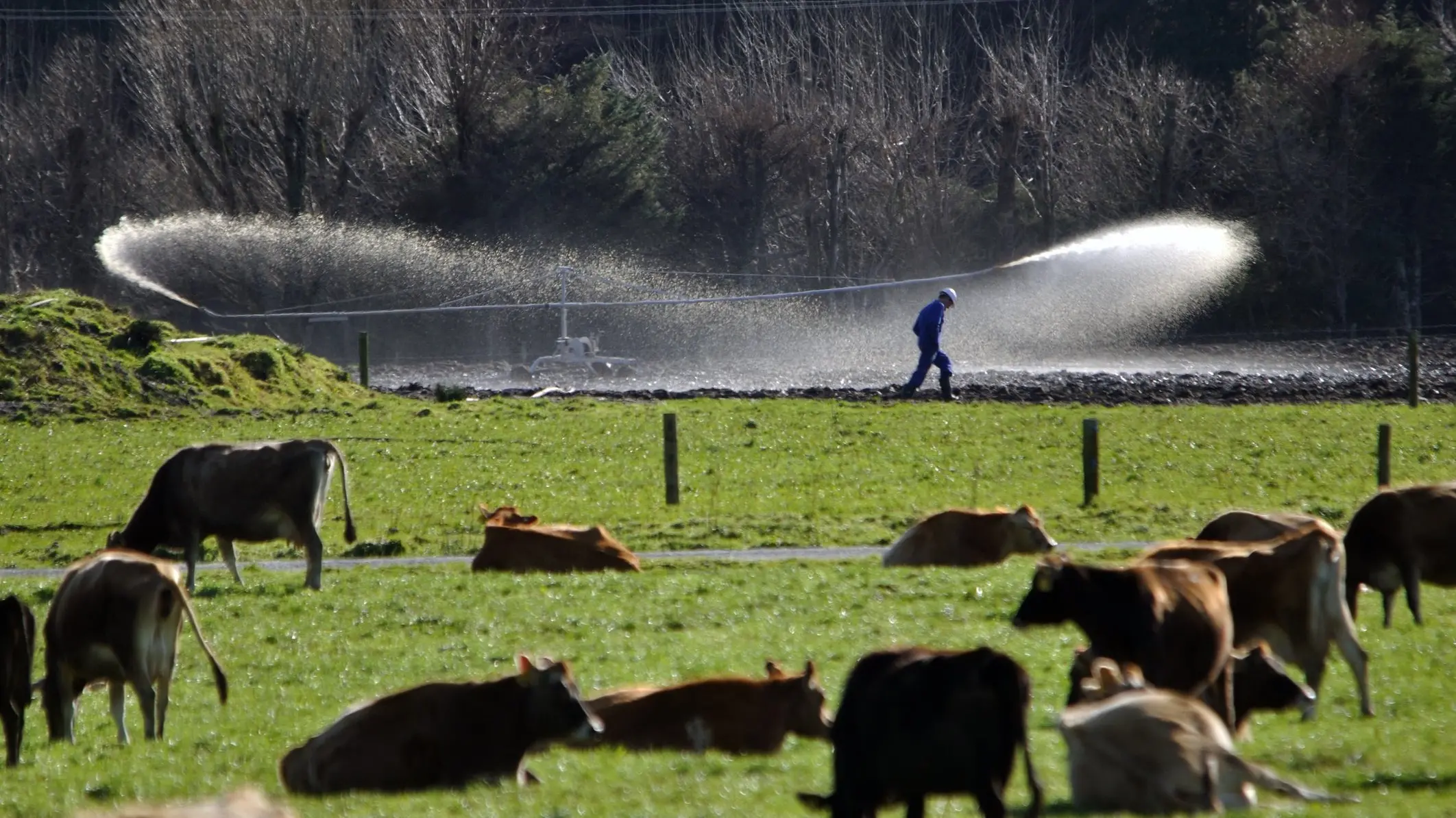 Effluent management key focus of farm audits